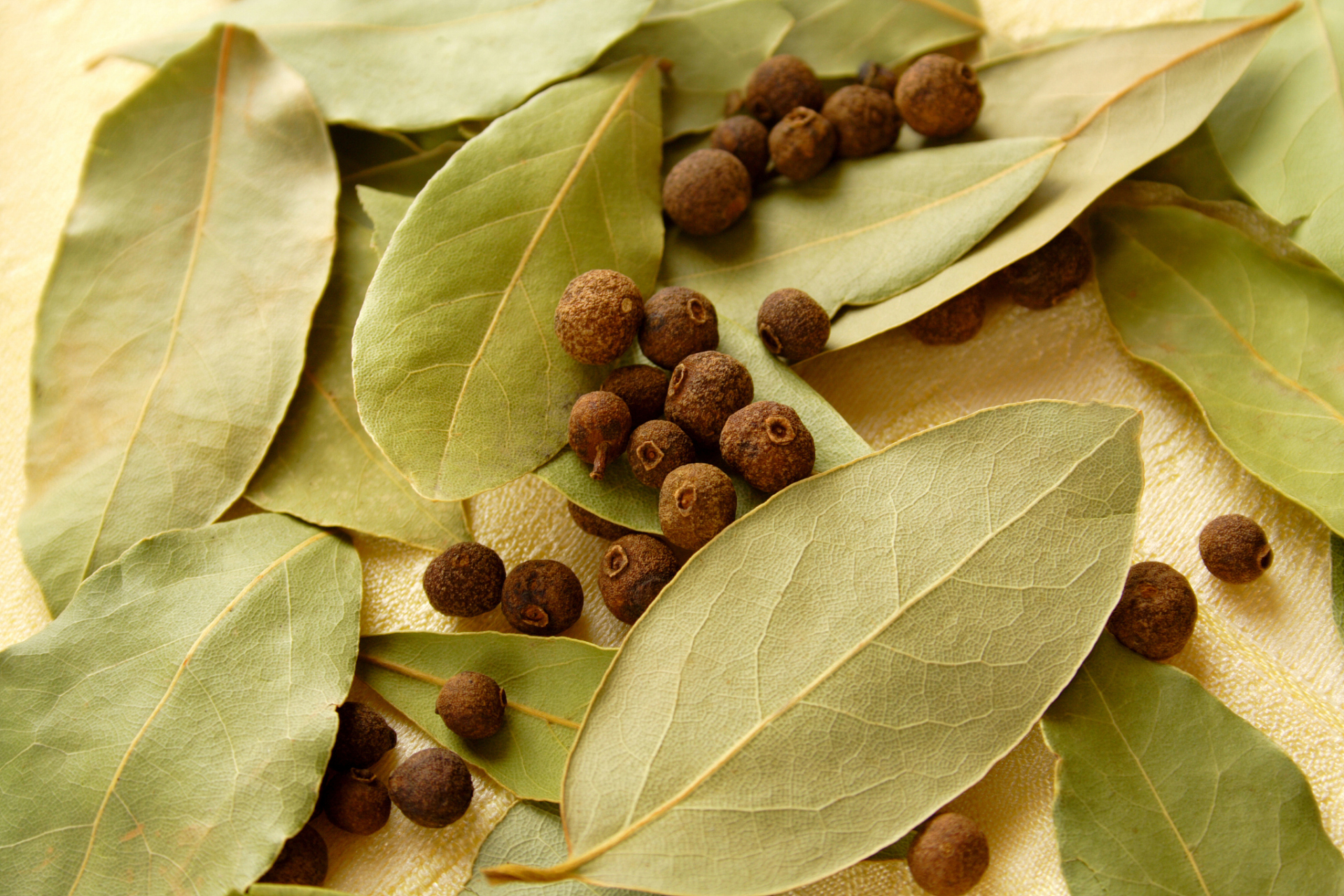 中药巴豆功效解析:泻下冷积,逐水退肿【仅供参考】  中药巴豆:辛,热.