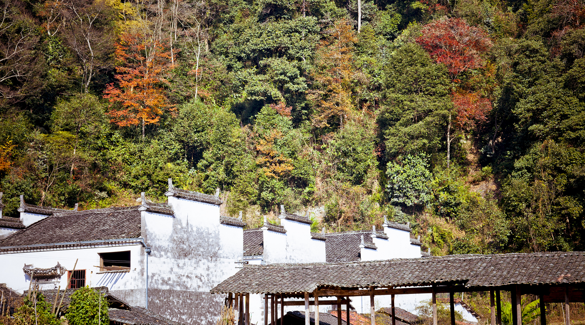 指南村位于临安东天目山麓的太湖源头,海拔近600米,是华东地区最美古
