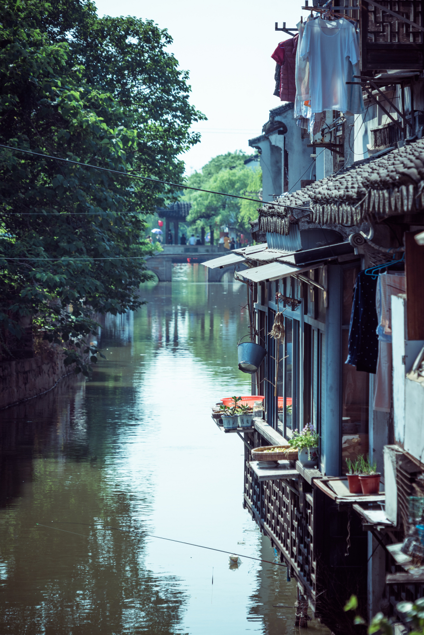 我给大家介绍一个国家5a级旅游景区:苏州市同里古镇景区.