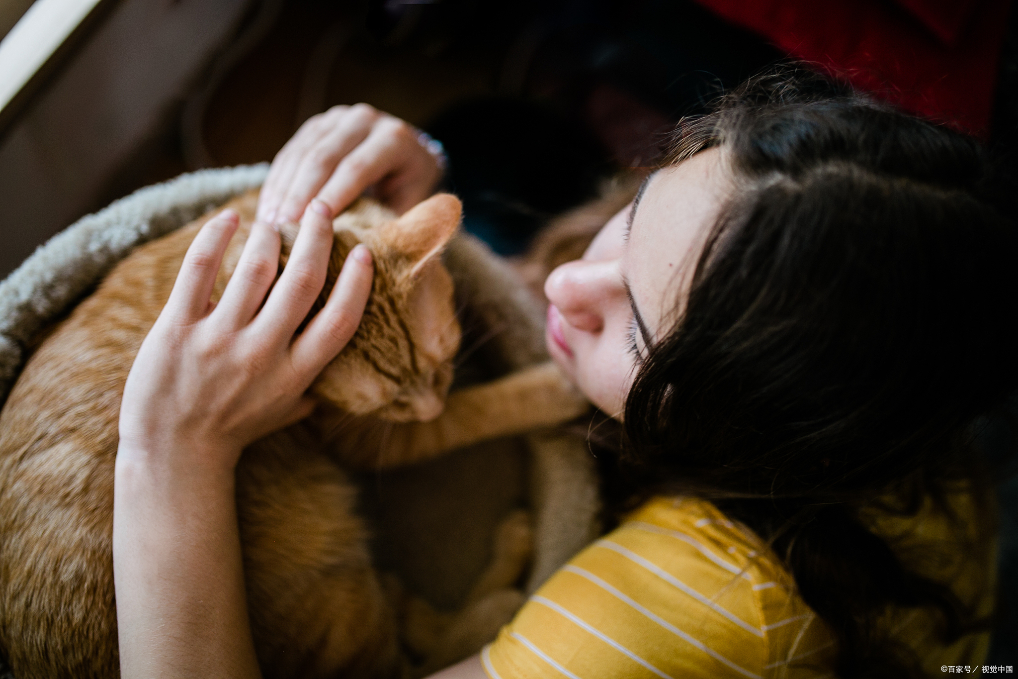 心理学:喜欢猫的女人,通常是什么性格的人?