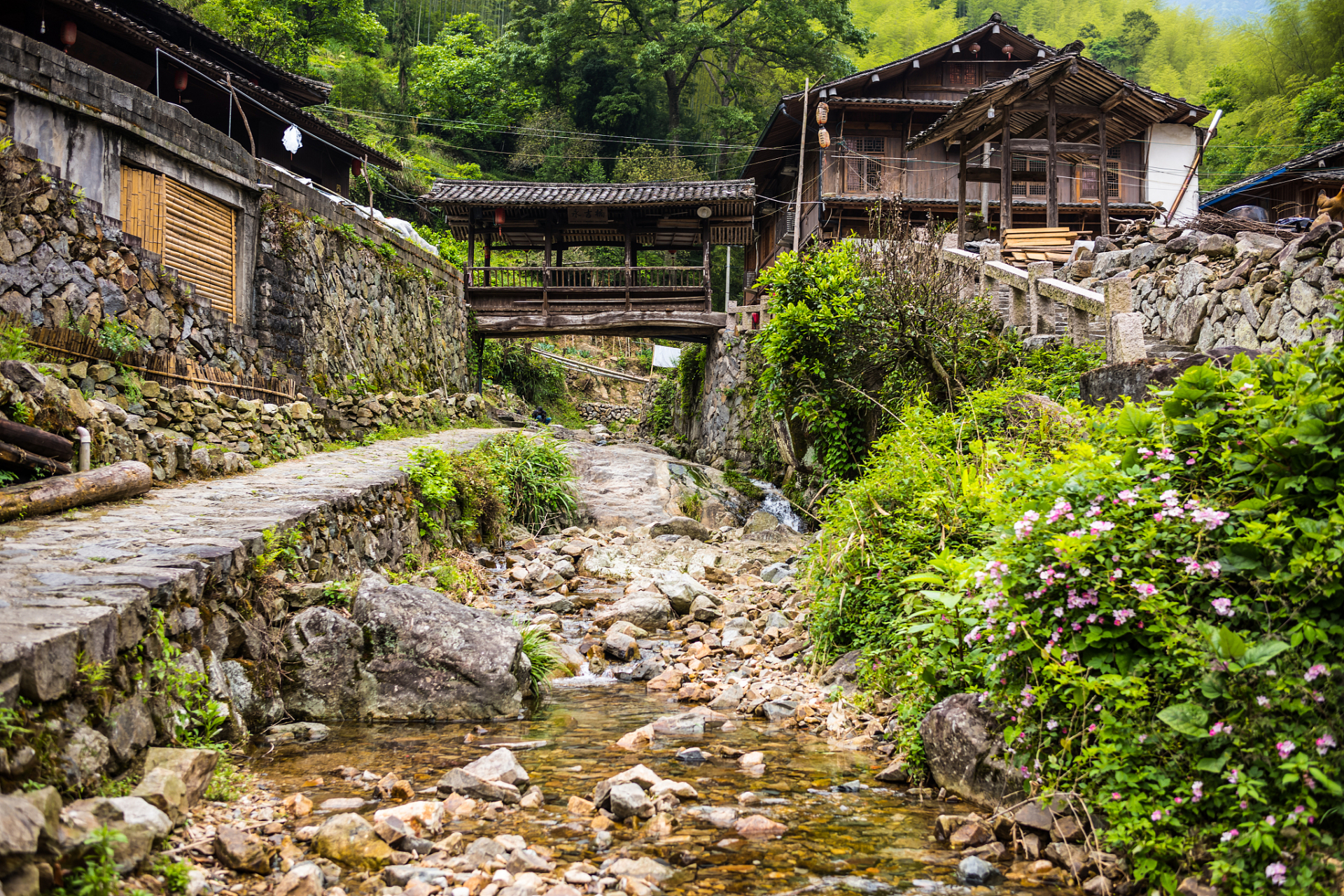 宁德上金贝畲家寨:探秘建文帝陵,感受历史的厚重与沧桑!