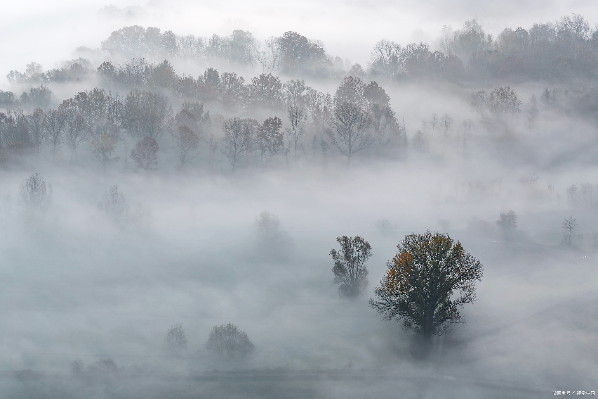 情绪,要学会自己消化