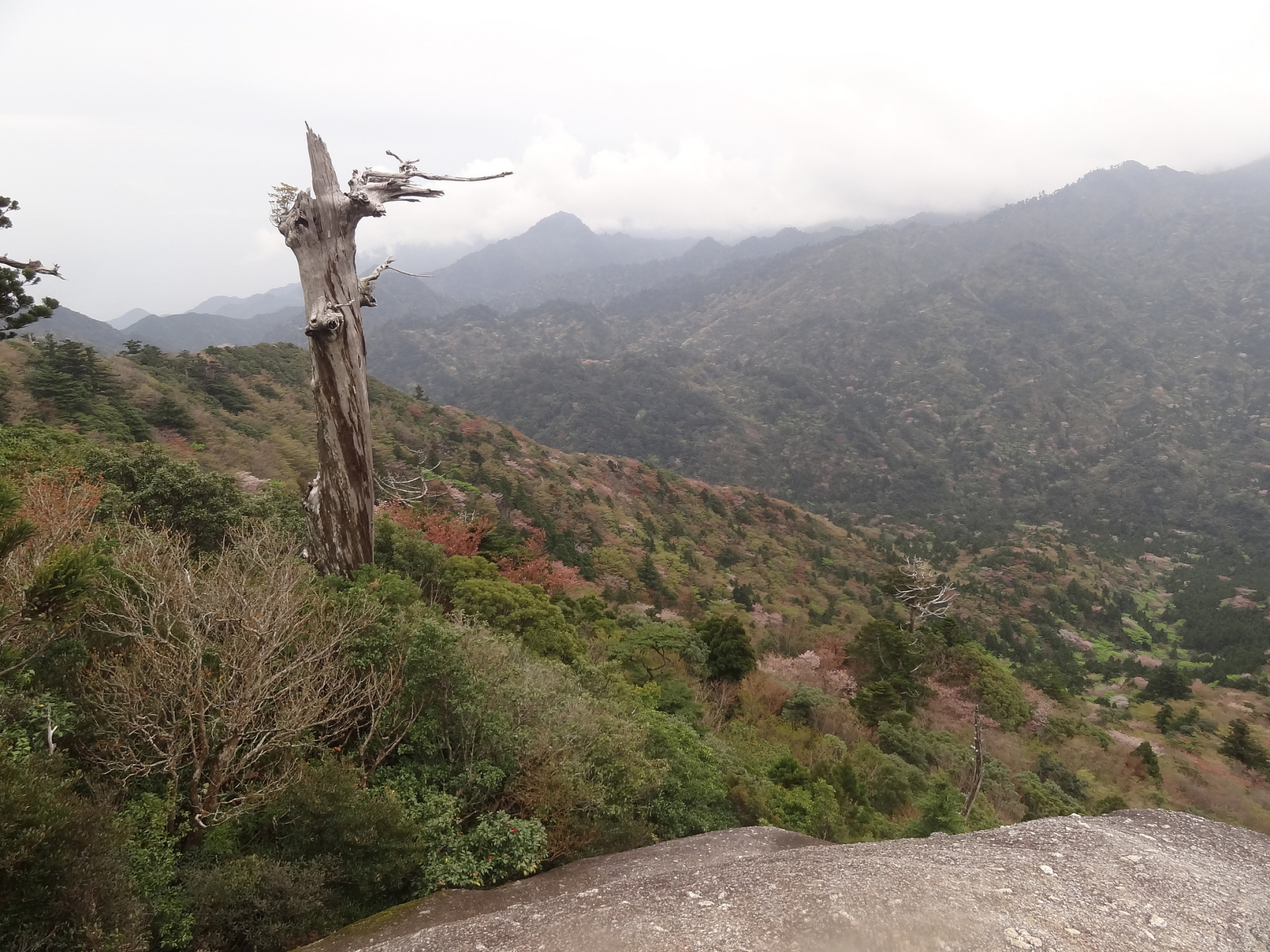 东方俄贤岭风景区门票图片