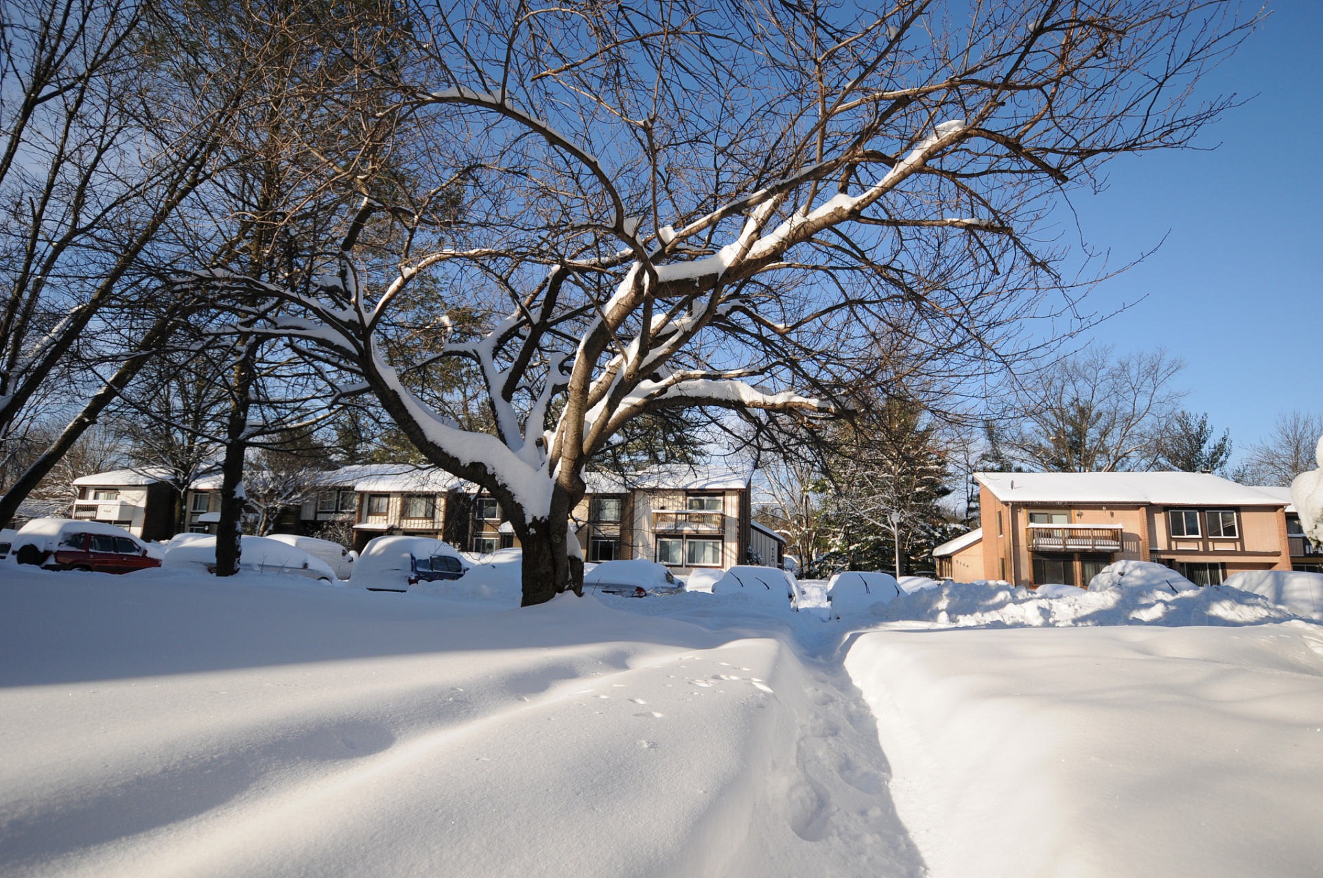 当北方的冬雪与南方的秋叶同时出现在眼前,哪一种景色更能引发人们的