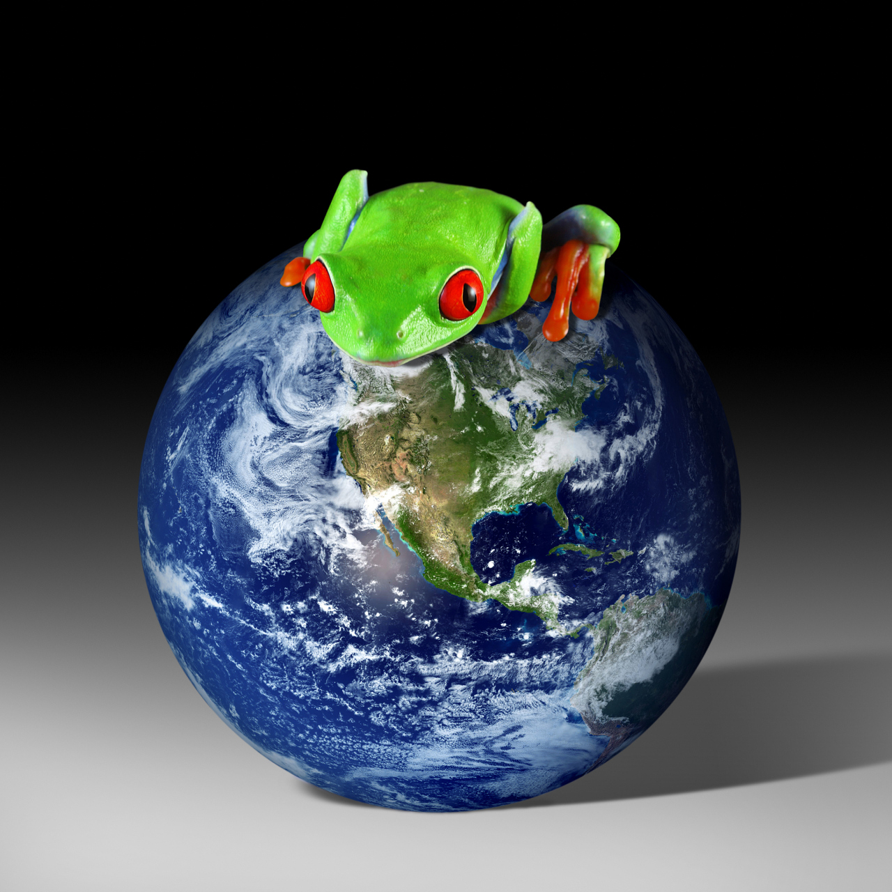 98生态平衡是指一种生态系统中各种生物之间相互作用,相互制约,形成