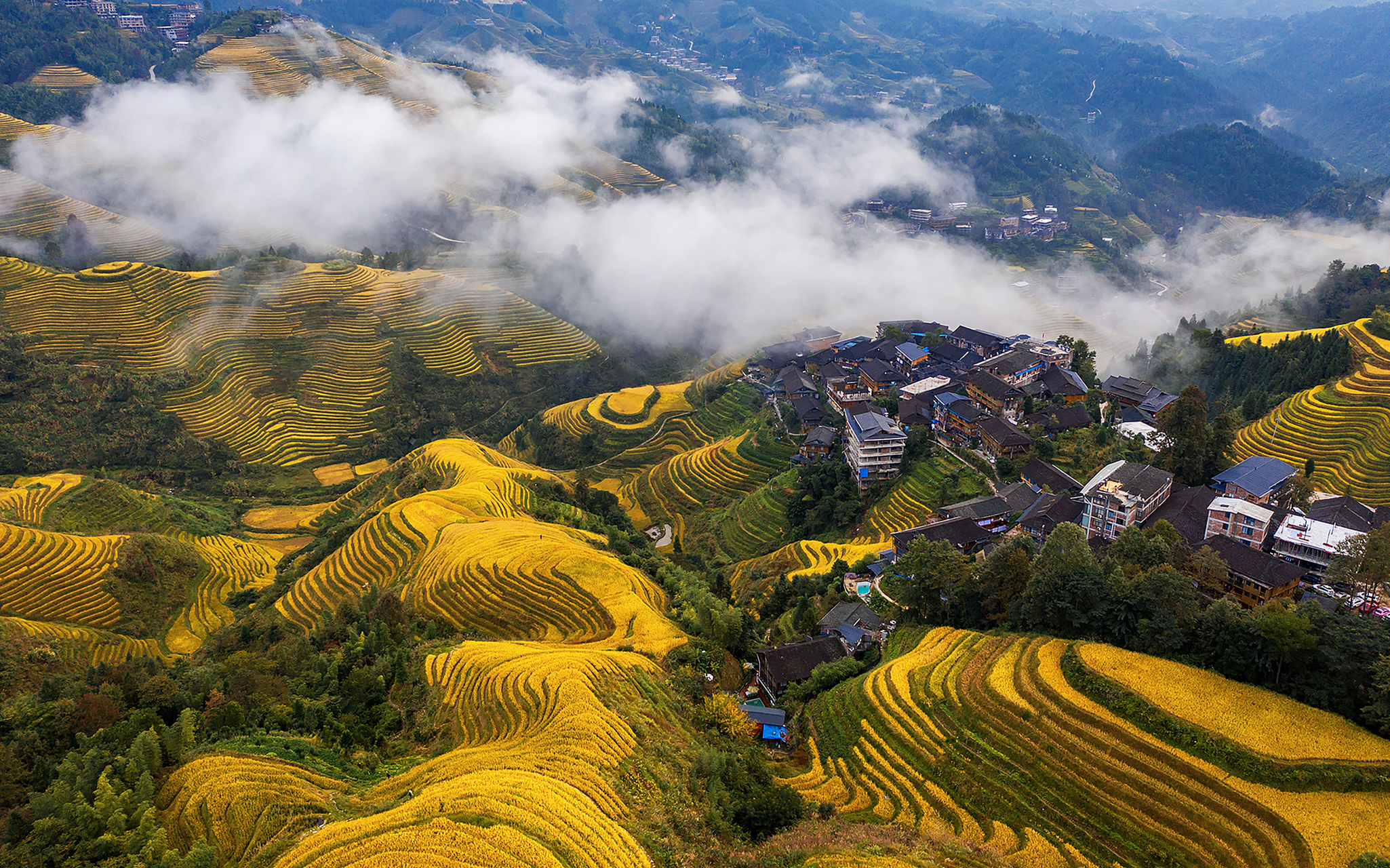 龙脊梯田看千层金塔,感秋色撩人 作为一个北方人,最早对梯田的概念