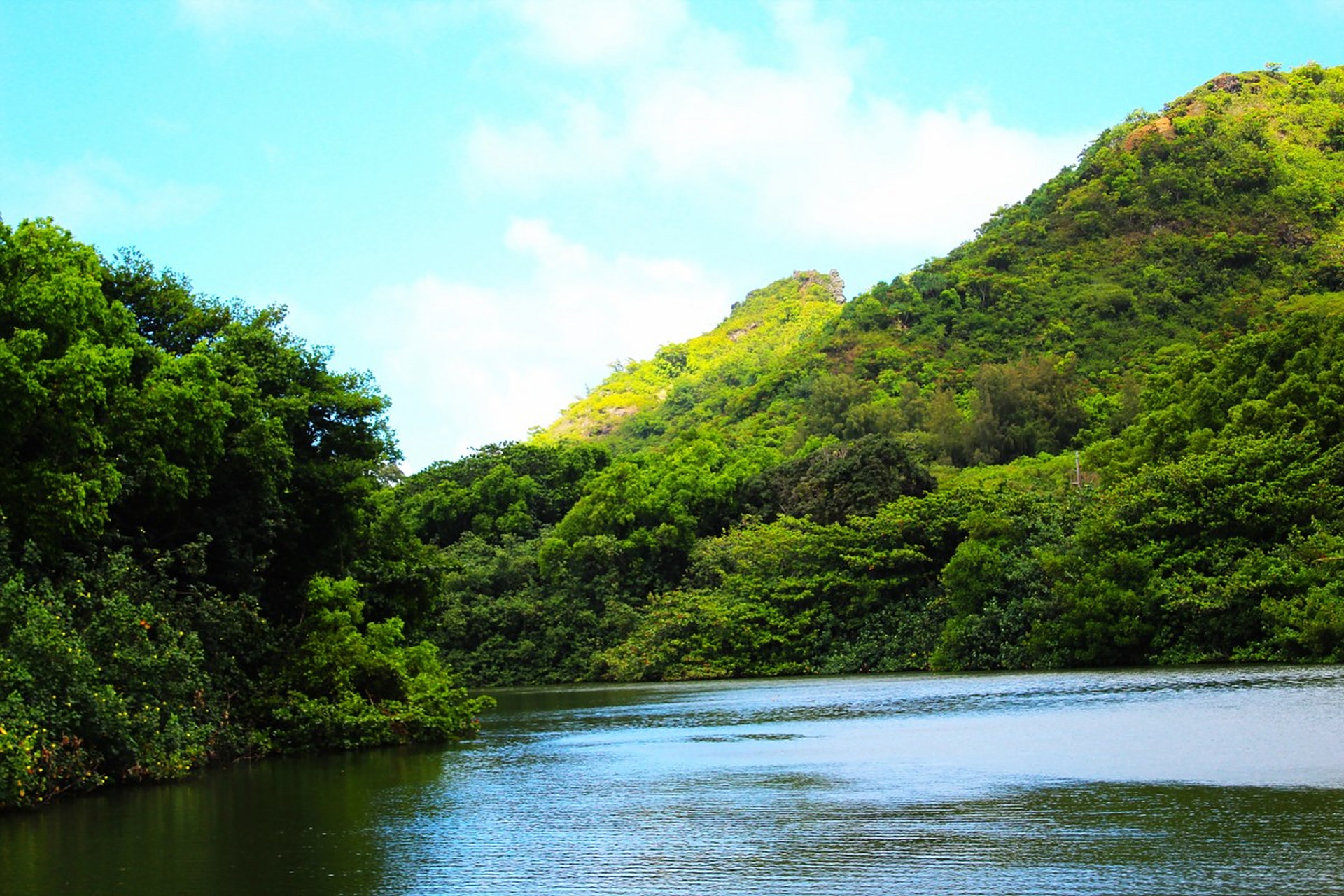 乐东的黎族文化丰富,但旅游景点较少,其中尖峰岭国家森林公园值得一去