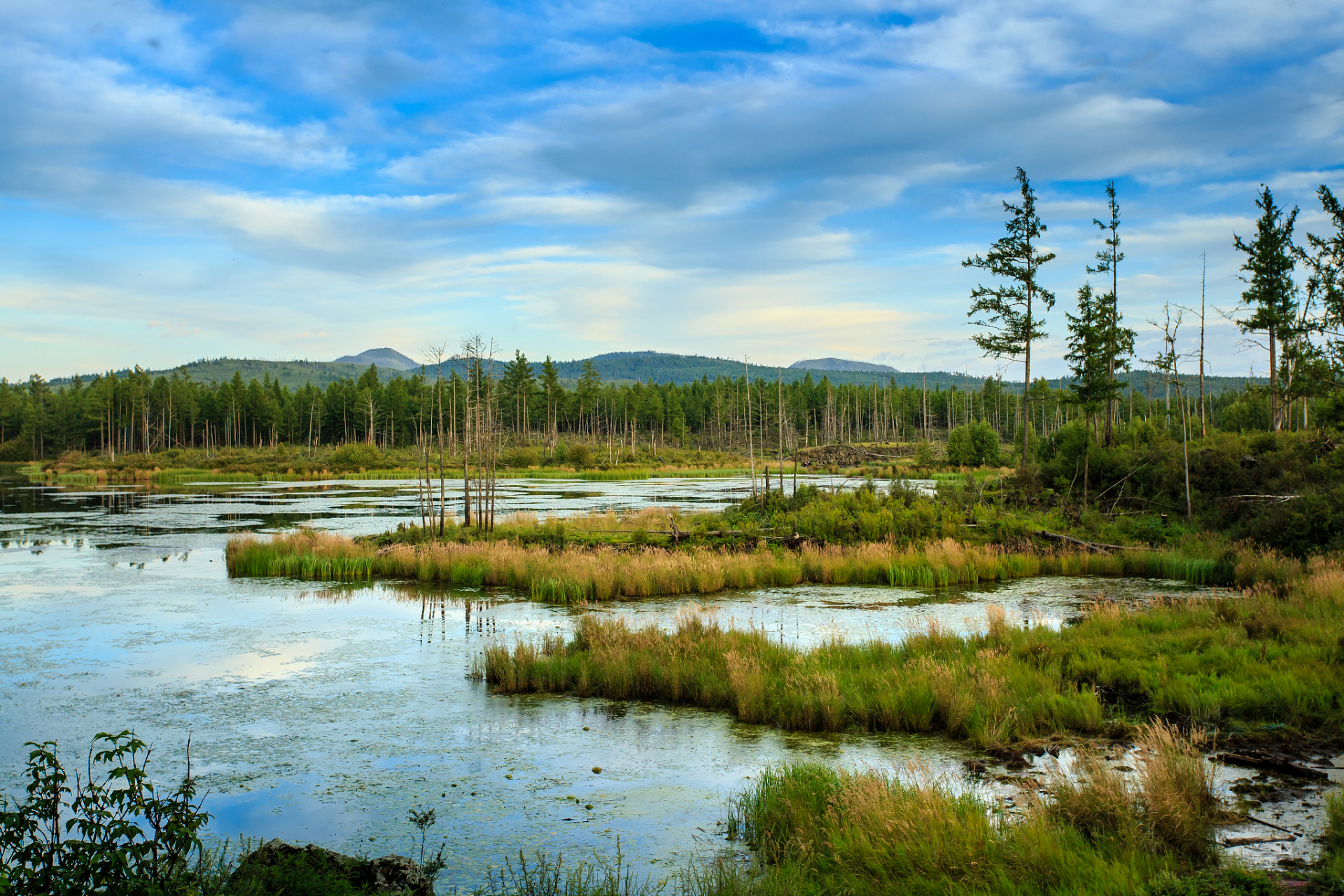 亚布力红星河国家湿地公园位于龙江森林工业总局亚布力林业局,总面积