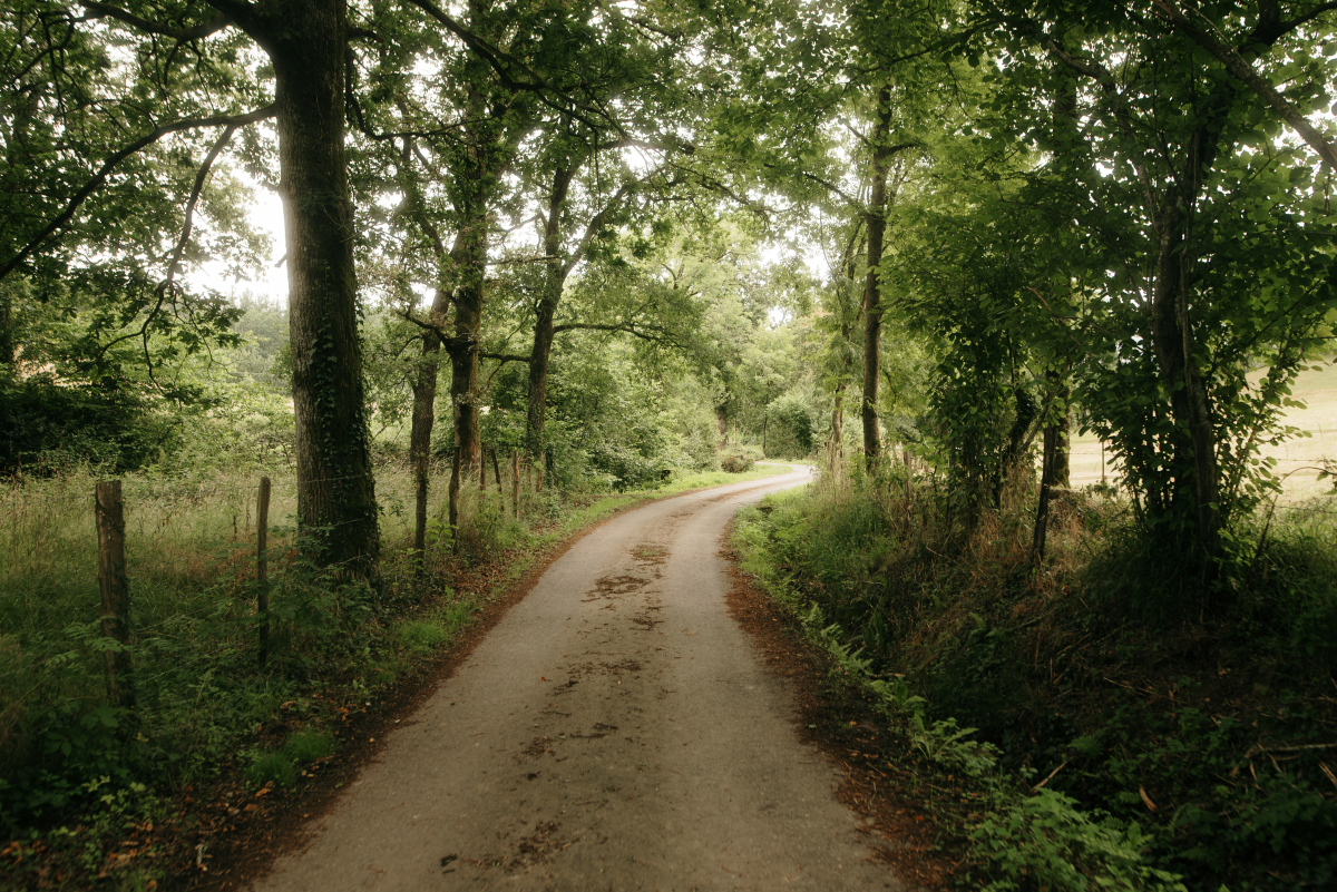 但愿时光不负真心让诚信之光穿透阴霾照亮前行的路