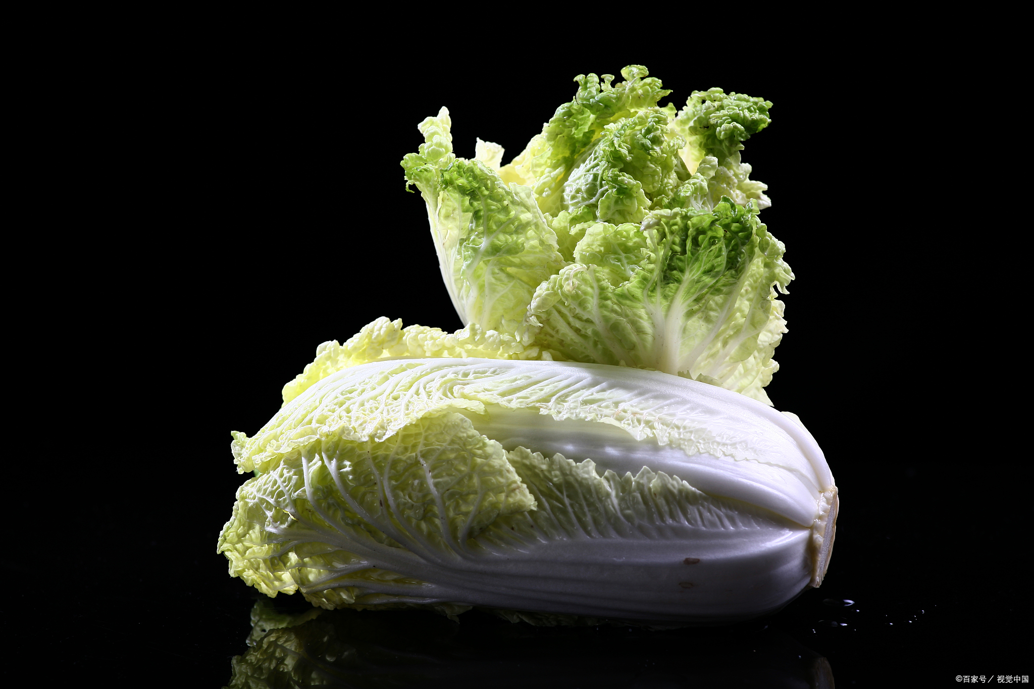 白菜怎么移栽成活率高  要提高白菜的移栽成活率,可以考虑以下几个