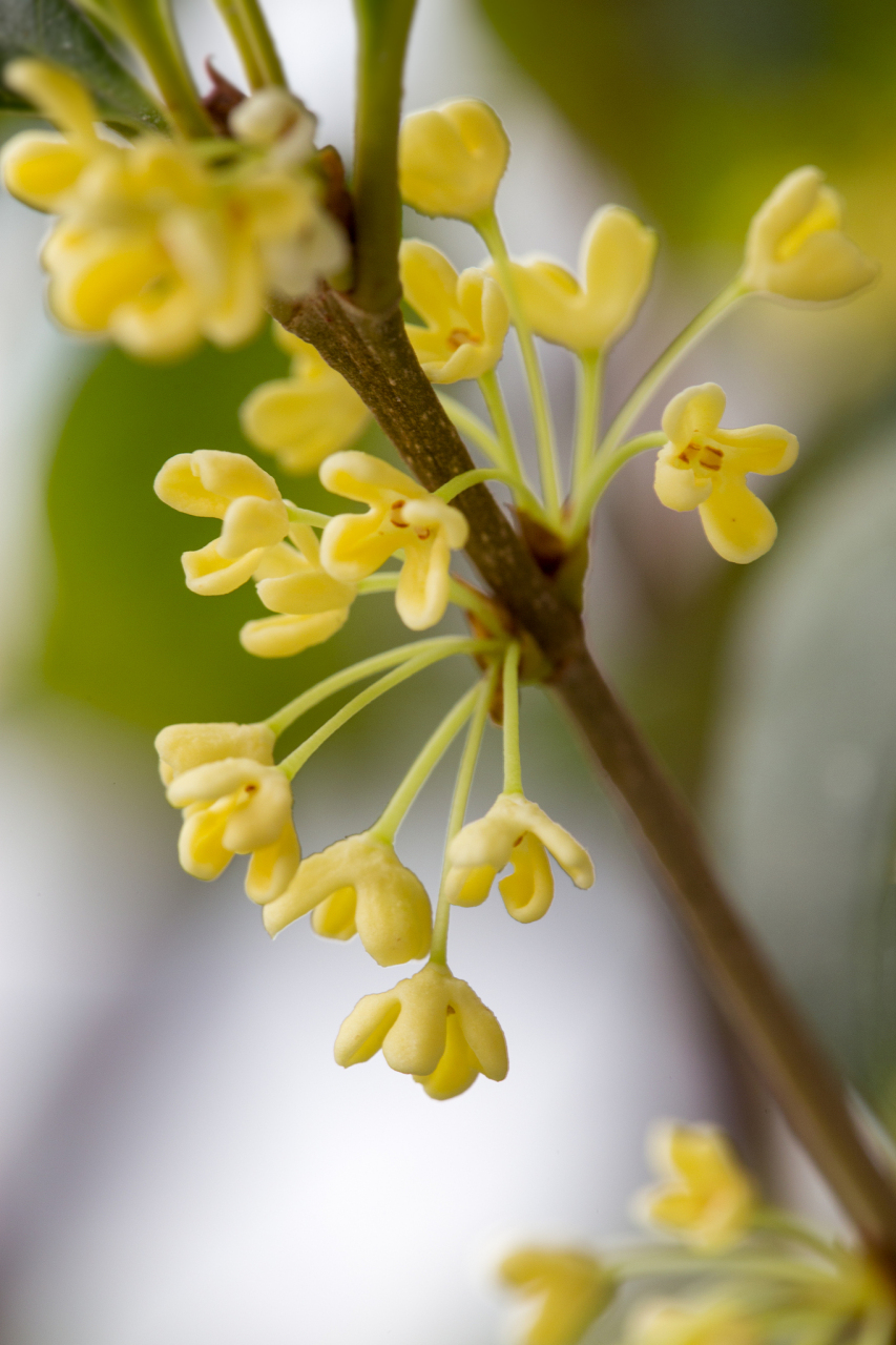 有一些家庭男性无阳刚之气,女性强势到只手遮天.