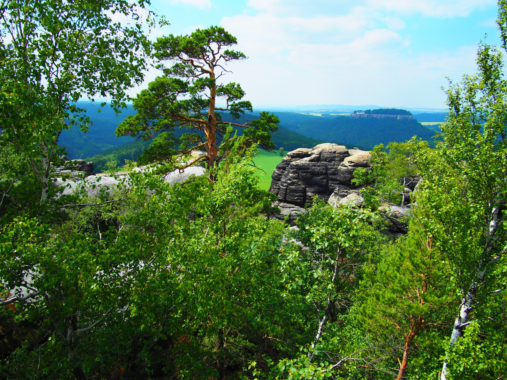 心定西再出发#漳县贵清山植物园位于定西市漳县境内,距离定西市区