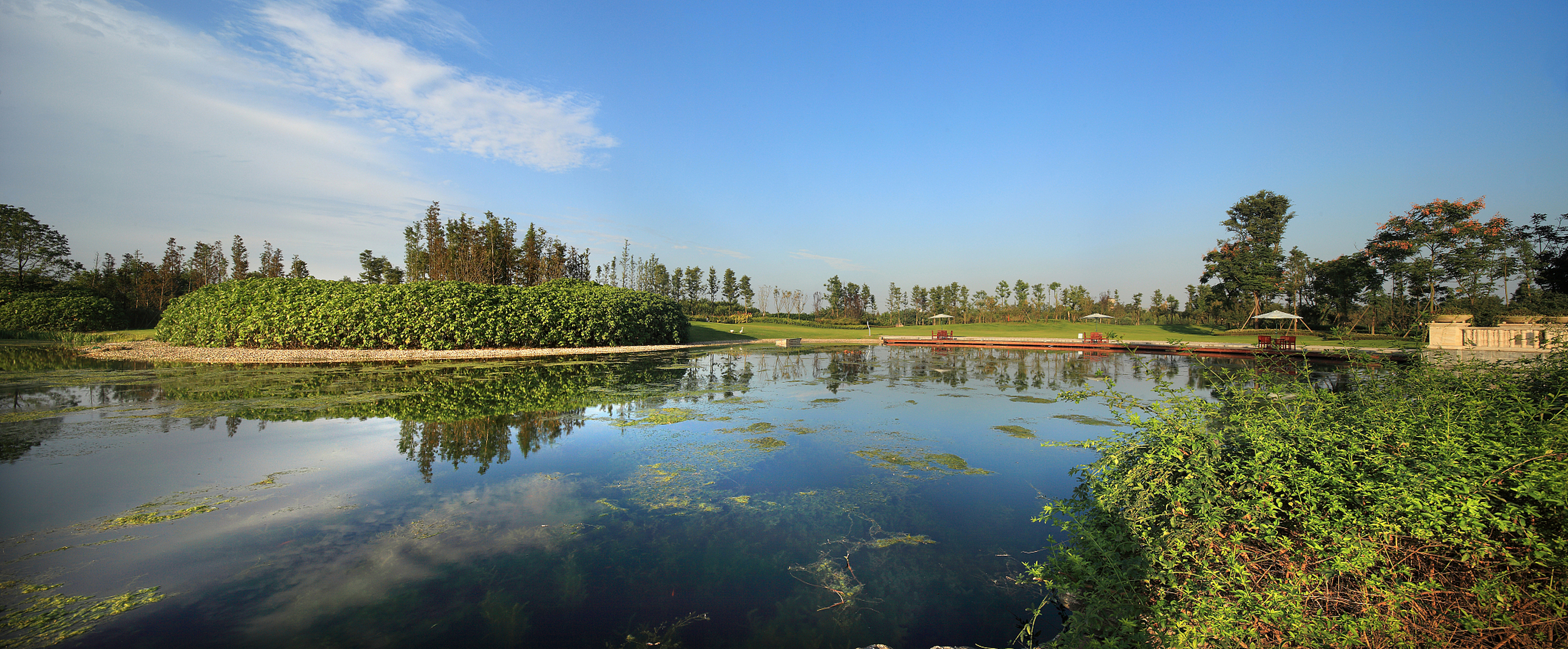 上海滨江森林公园,位于浦东新区高桥镇高沙滩,是黄浦江,长江,东海三水