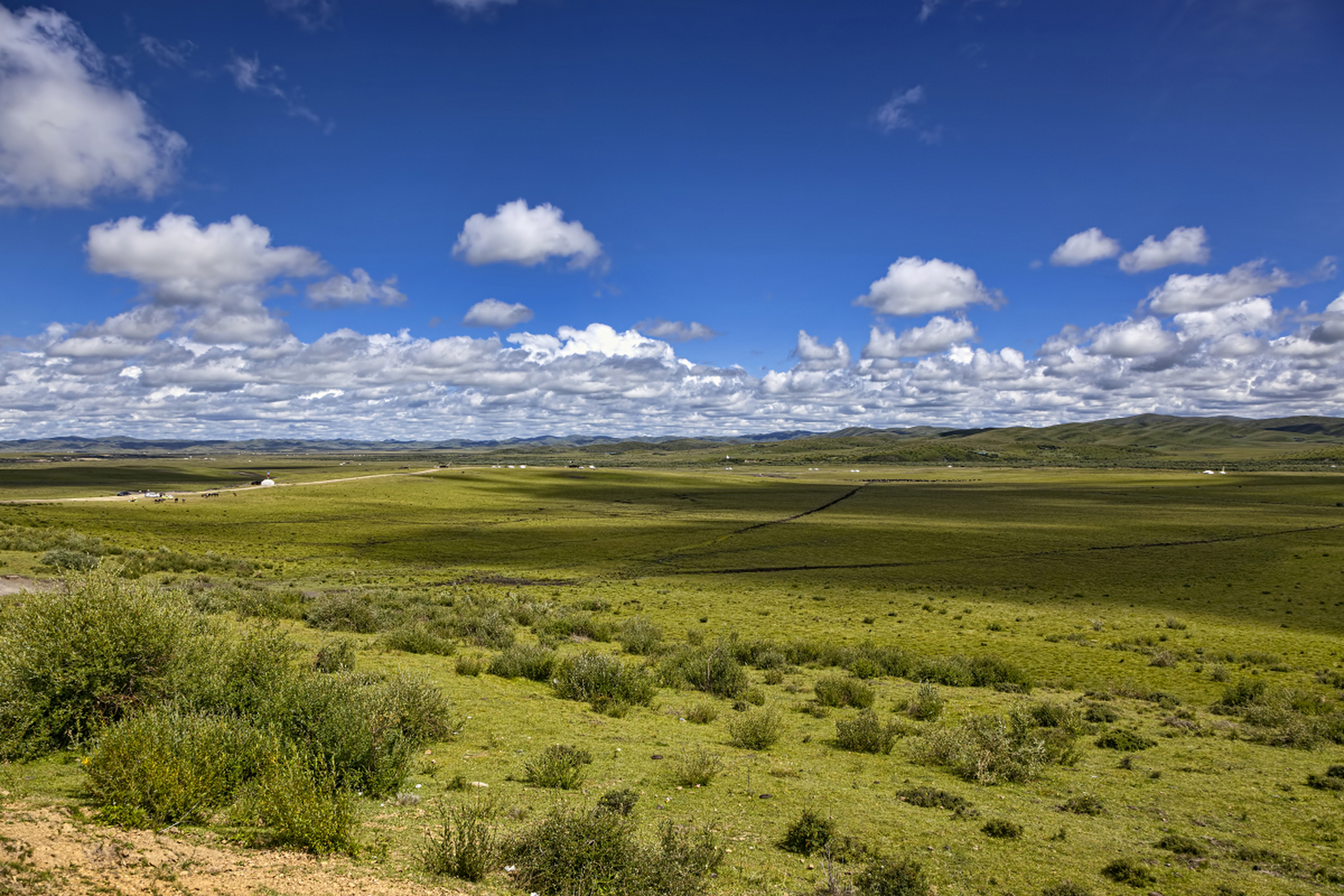 甘加草原属于草甸草原,平均海拔在3000米以上,是甘南藏族自治州的主要