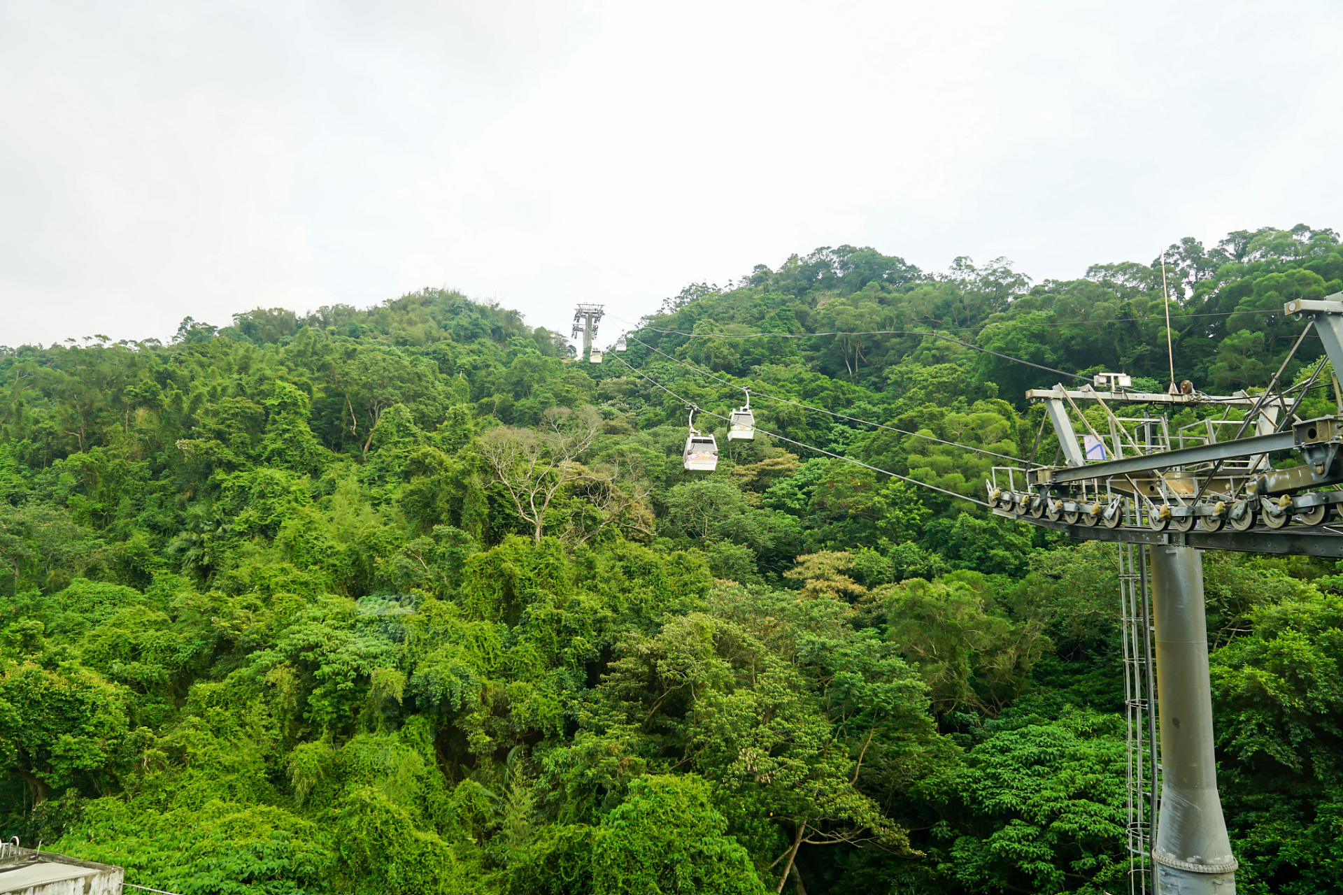 来我的城市过七夕# 三亚临春岭森林公园,坐落在神秘的海南岛,以其