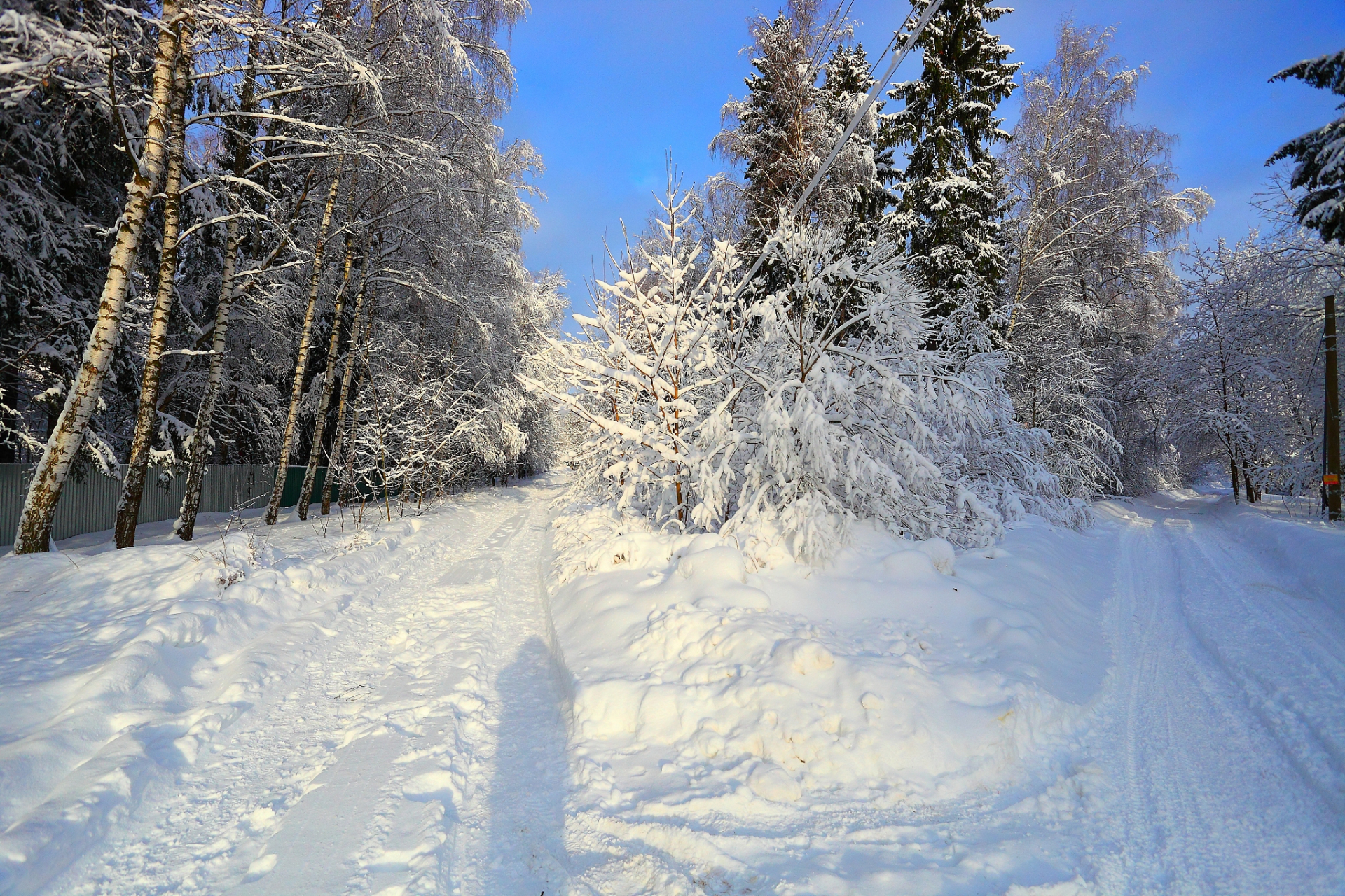 用一张图形容冬季# 冰雪覆盖的树林中,阳光透过树梢洒在雪地上,照耀