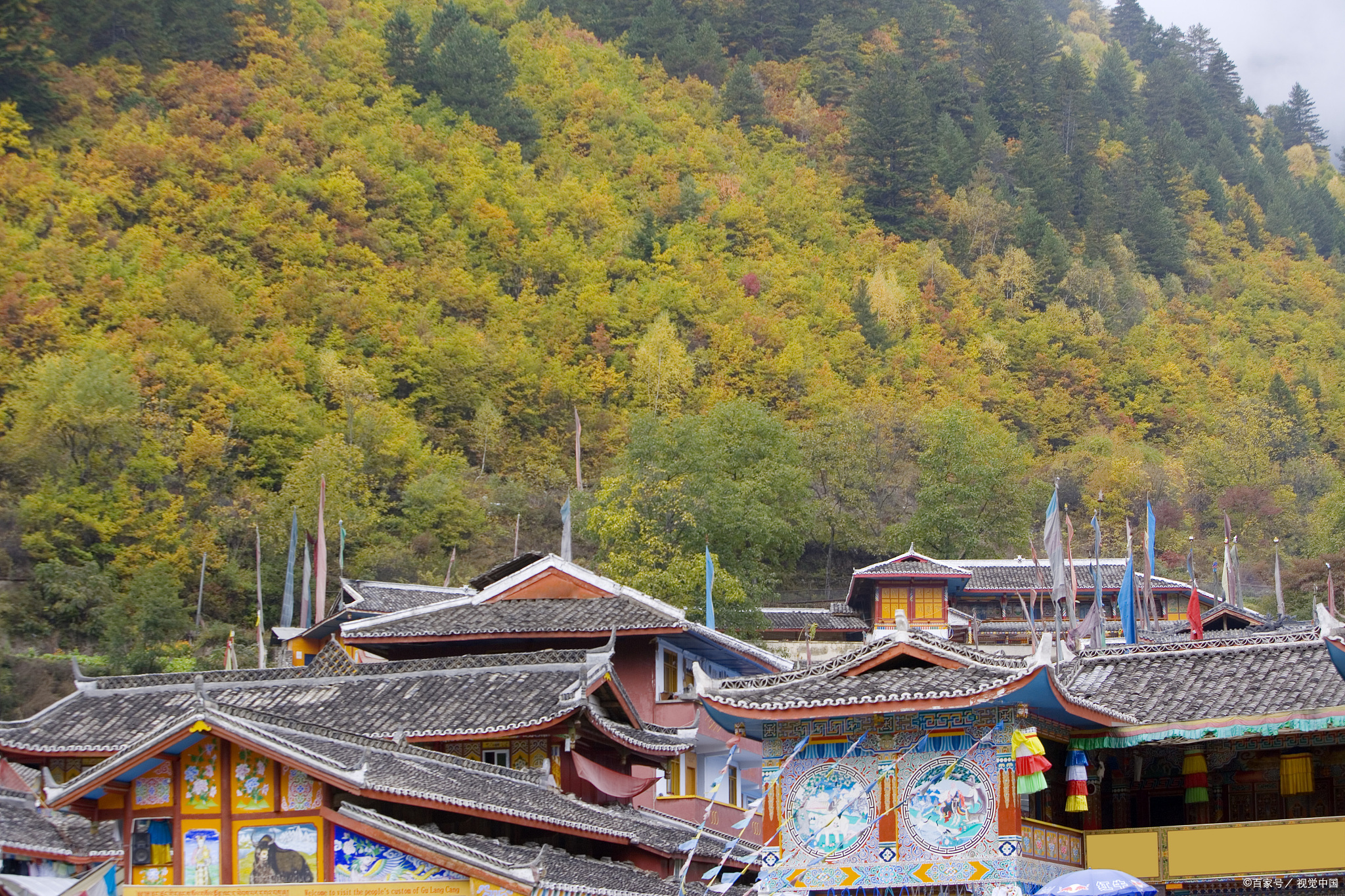 平武白马寨景区,入冬看雪景攻略:探寻雪域秘境,体验白马风情