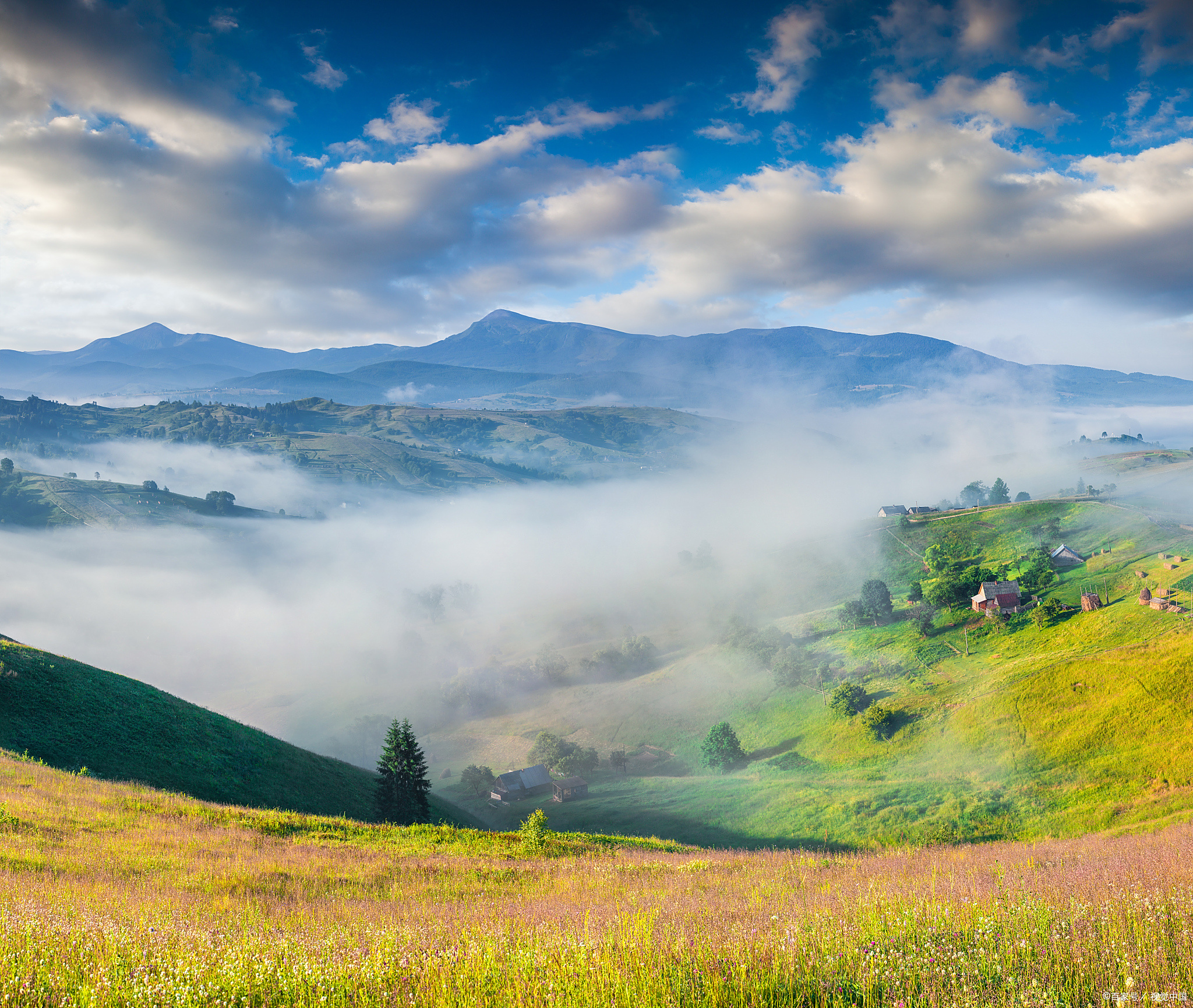 红河屏边大围山,云海中的高山草原风光!