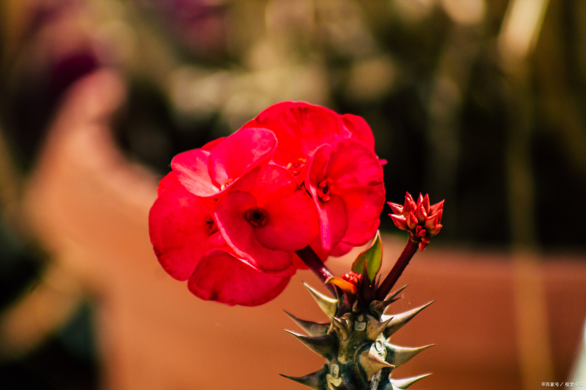 病从口入,祸从口出