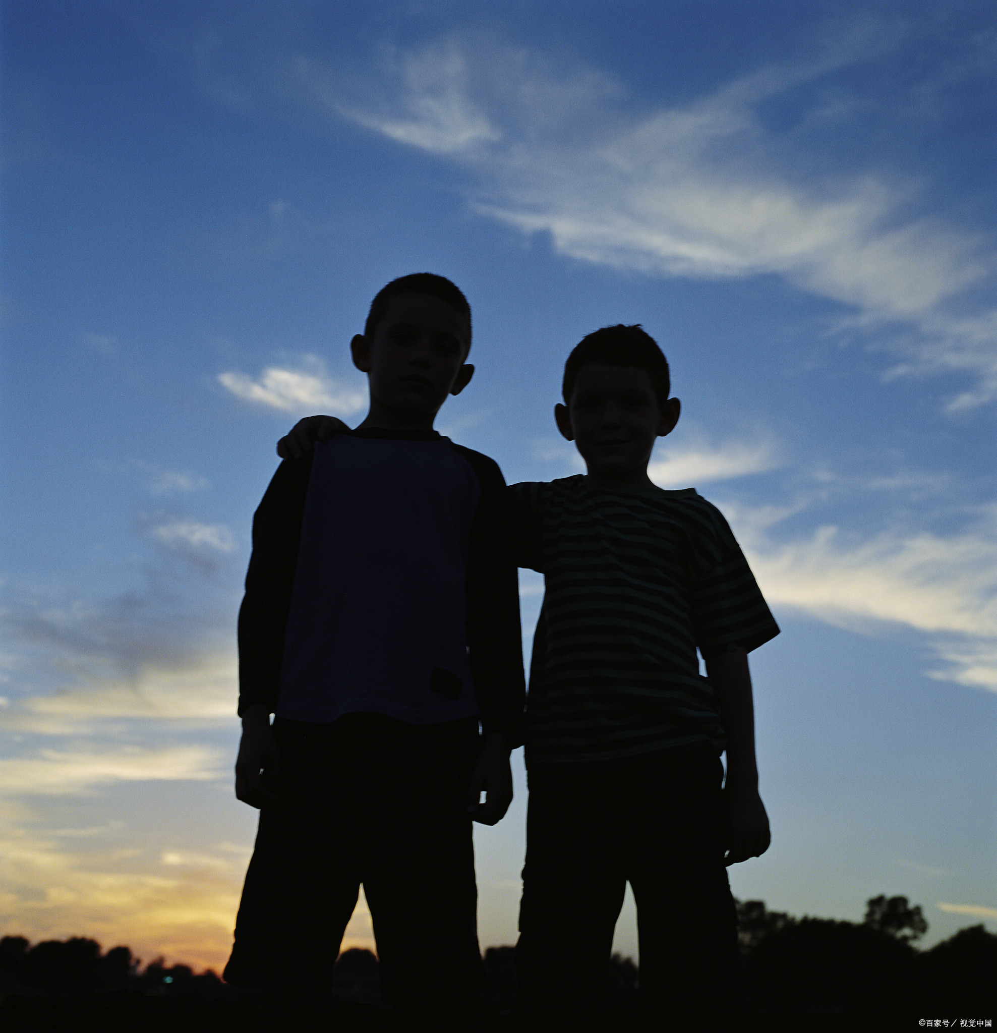 在繁华的都市中,生活着一对名为李刚和李强的亲兄弟