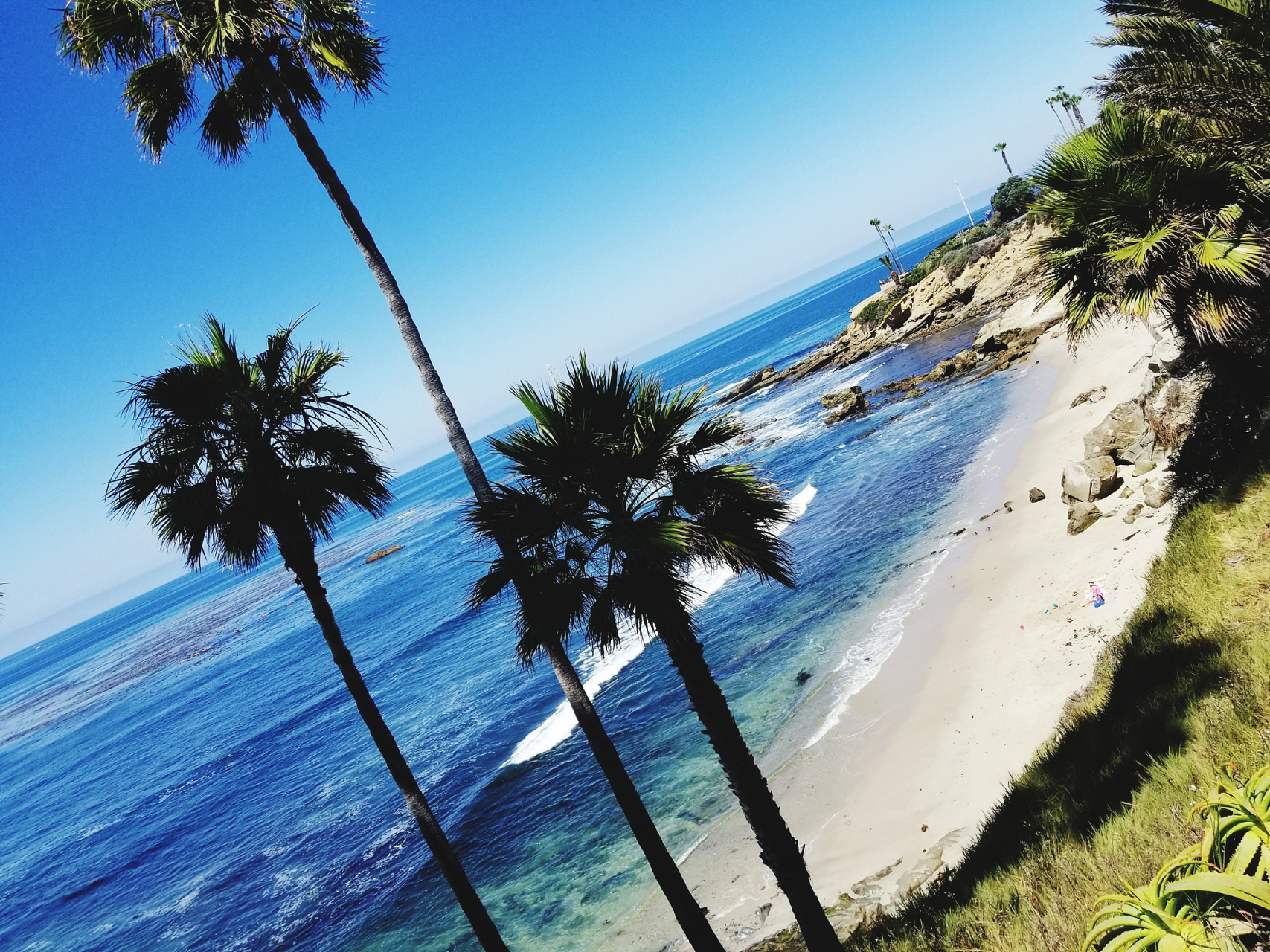 夏威夷大火约100人跳太平洋逃生# 夏威夷大火约100人跳太平洋逃生的