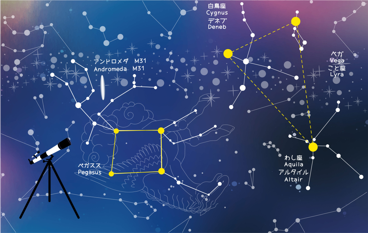 12星座本周(6.10-6.16)运势|塔罗