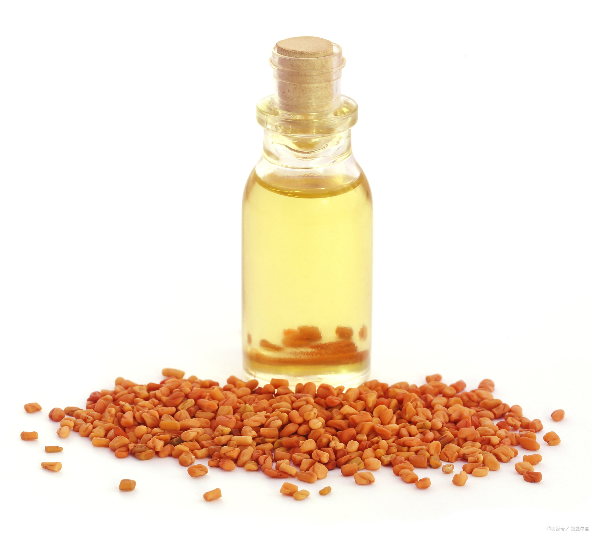 揭秘红花籽油:健康,美容,药用全攻略!