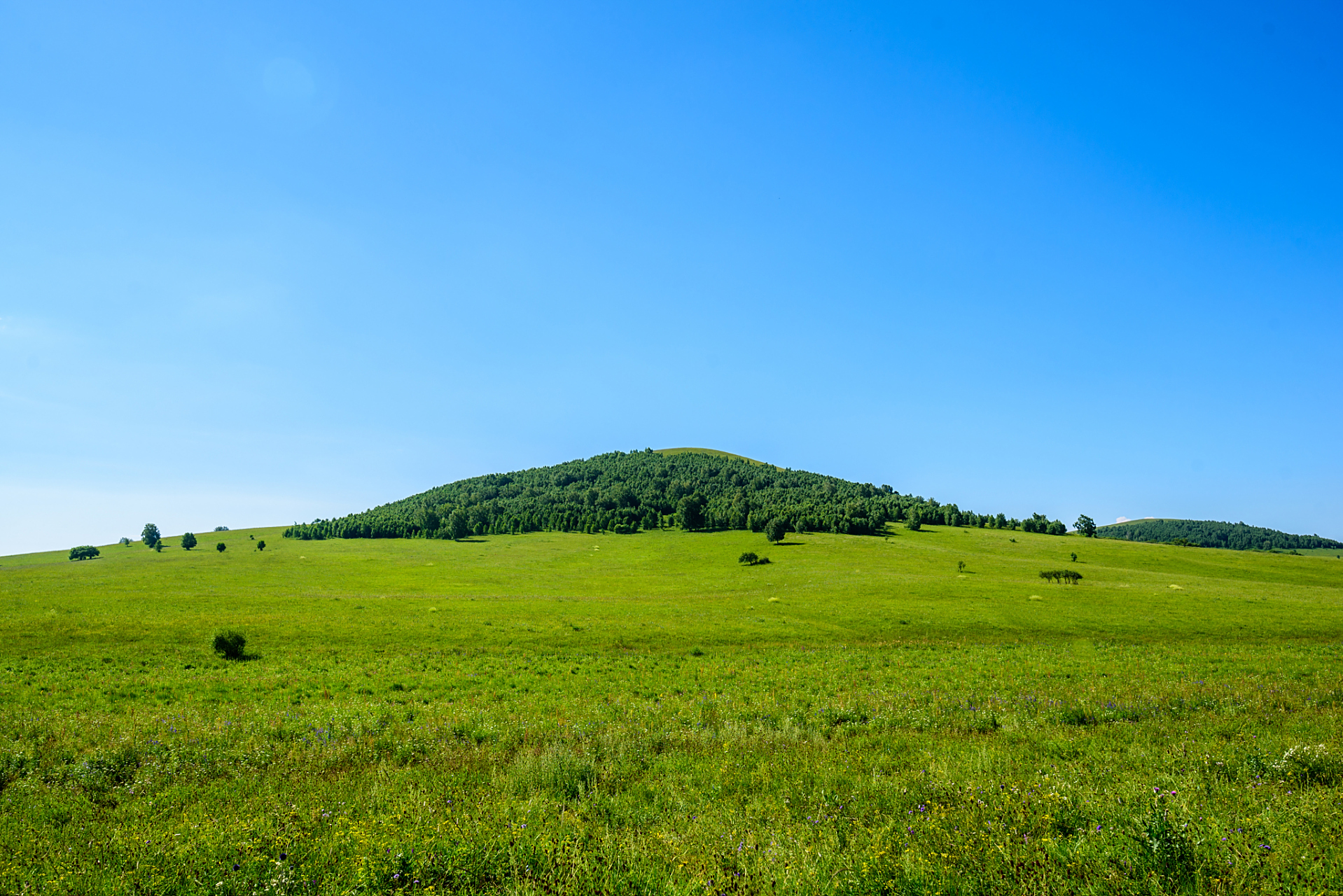 关山草原,欧式风情的省级风景名胜区,位于宝鸡市陇县关山乡天成镇店子