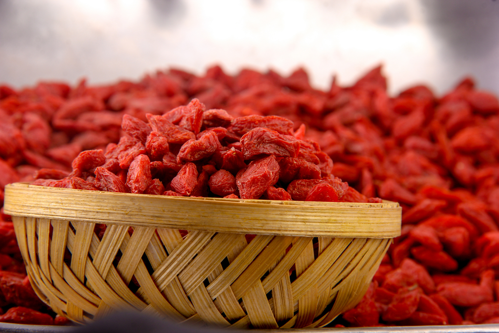 适量食用枸杞可以提高免疫力,延缓衰老,预防癌症等.