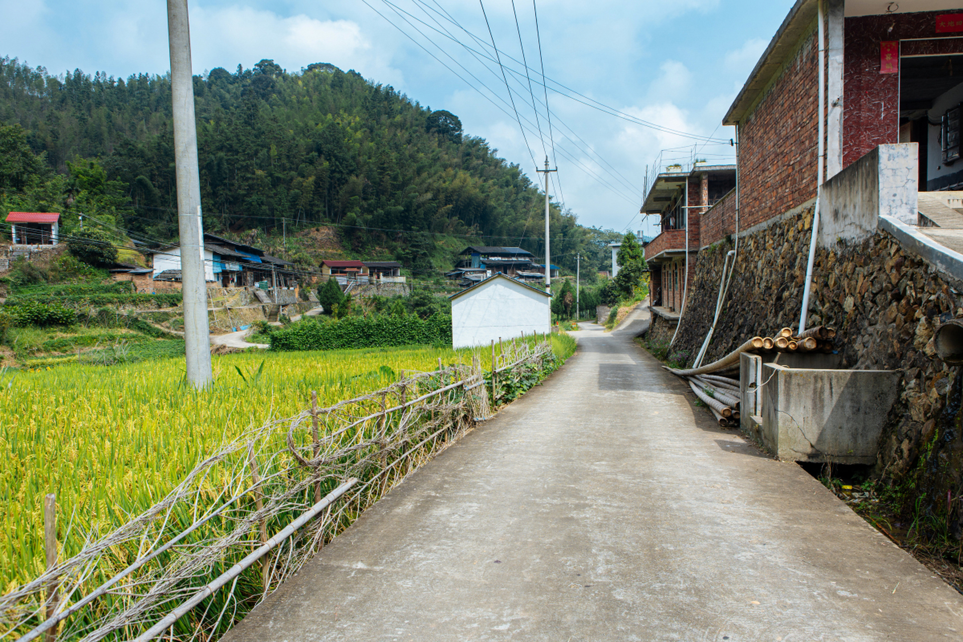 真实农村田园图图片