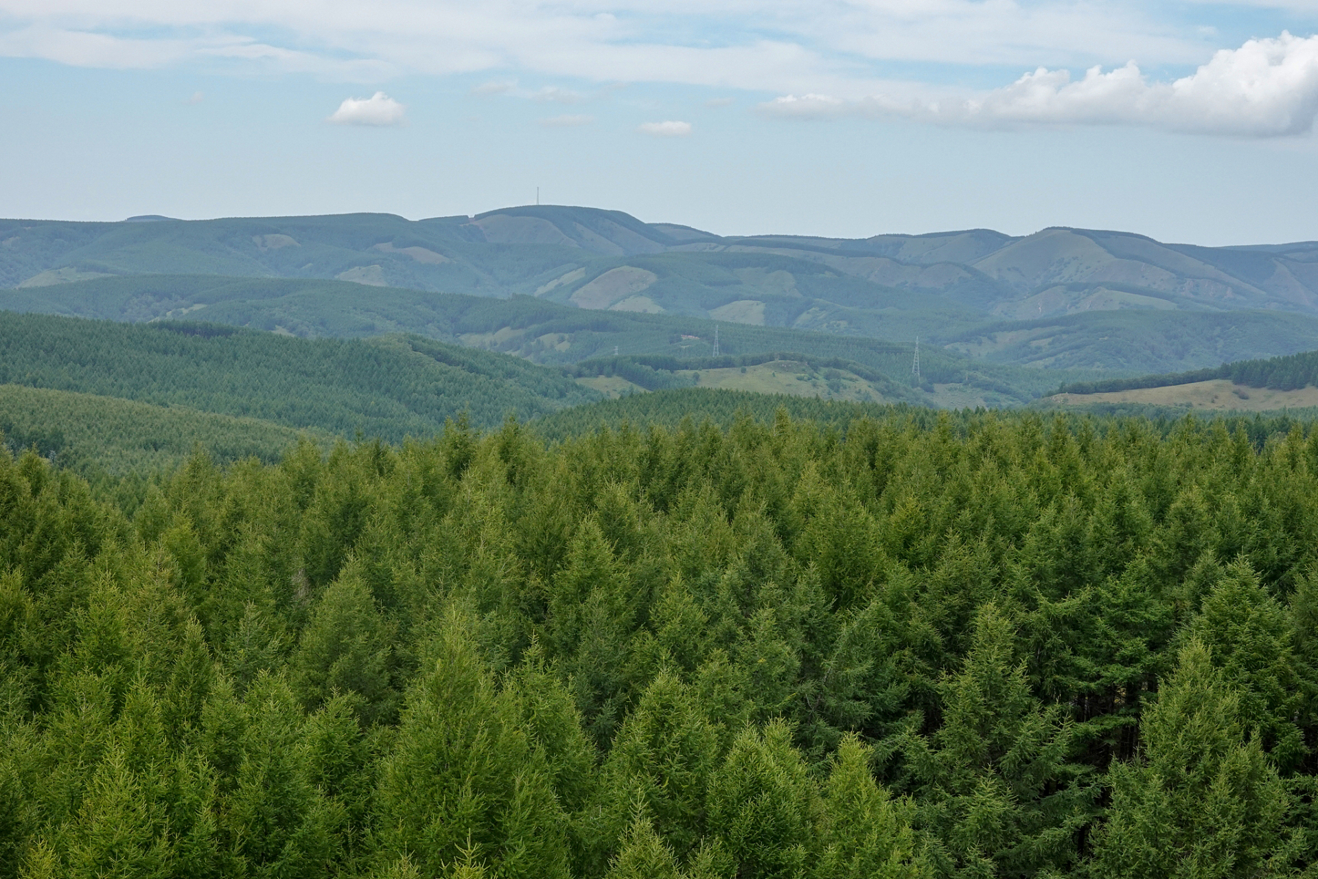 塞罕坝位于河北承德,是千年历史的风景名胜区,是中原通往漠北的重要