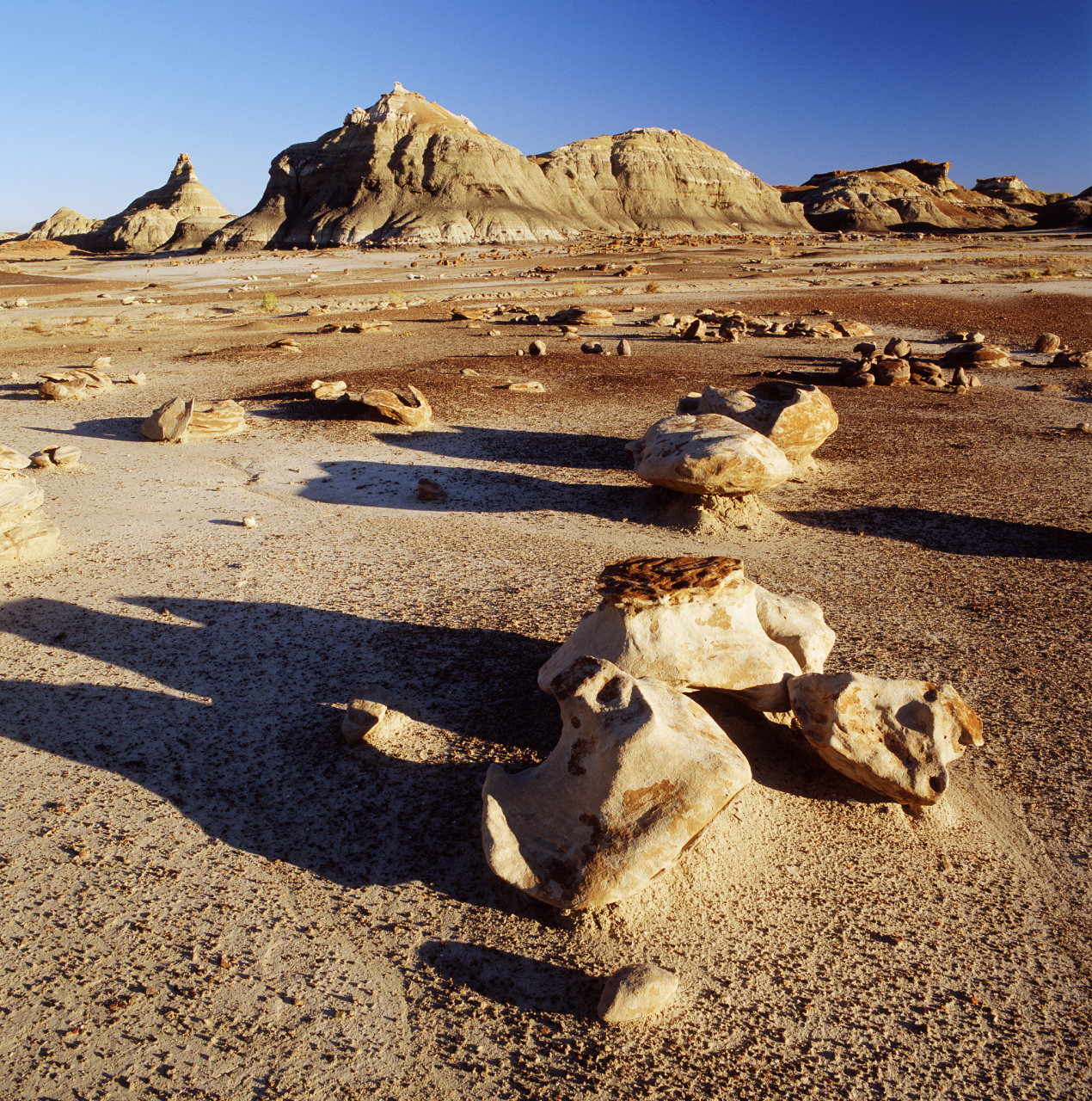 这张照片拍摄于2016年,探险队在罗布泊的沙漠里,发现了一具干尸,根据