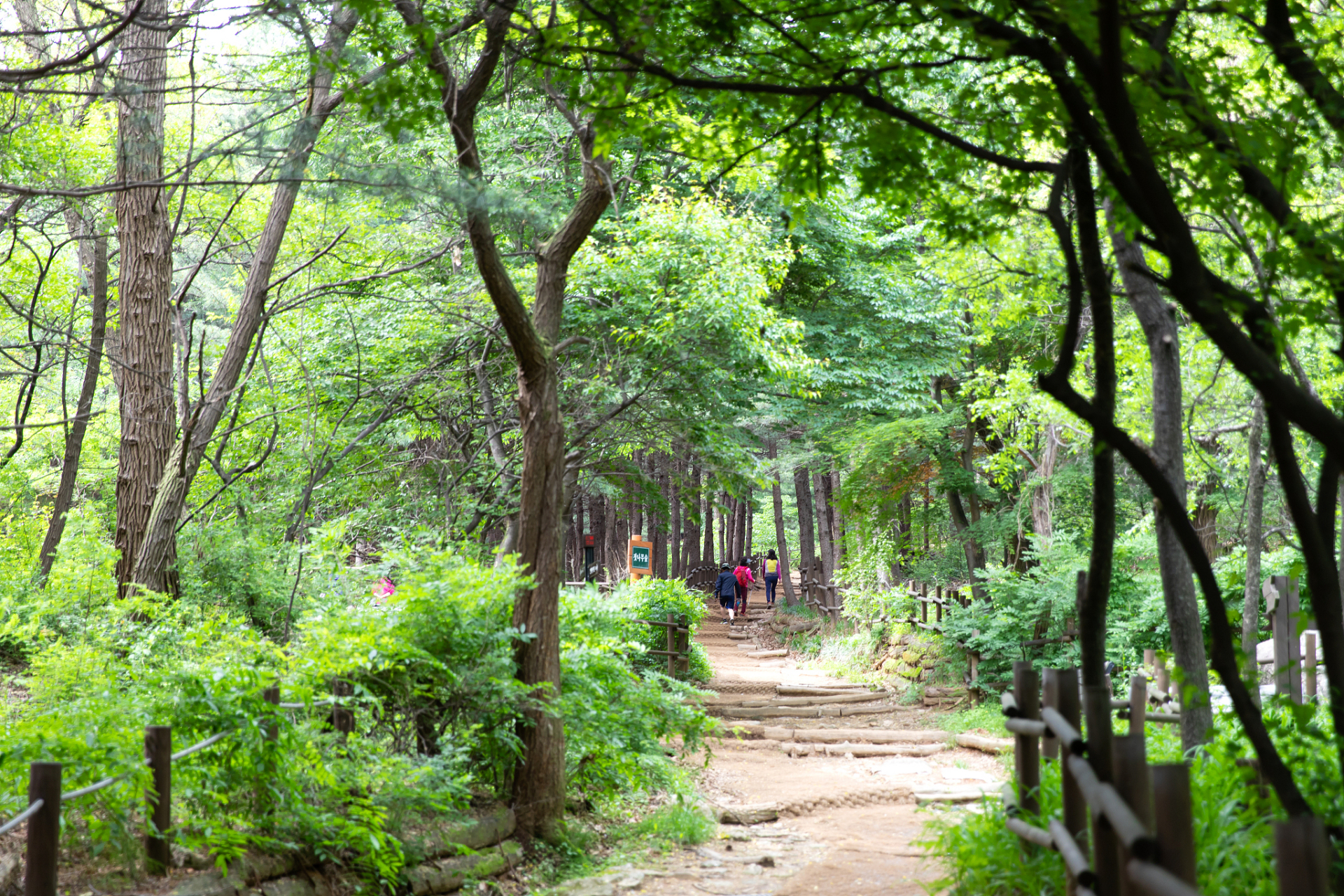 探索自然,走进方城县大寺森林公园!