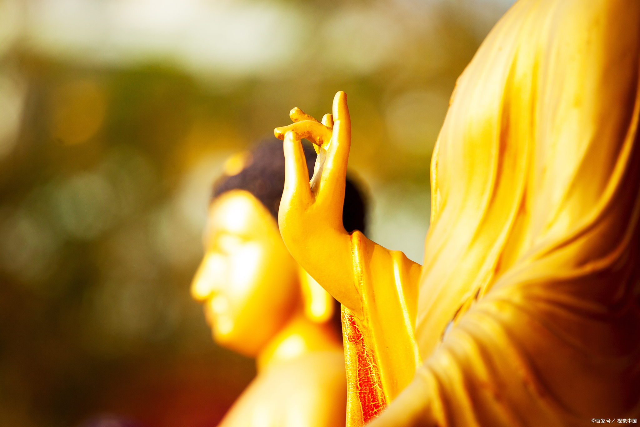 佛陀的智慧:世尊拈花,迦叶微笑