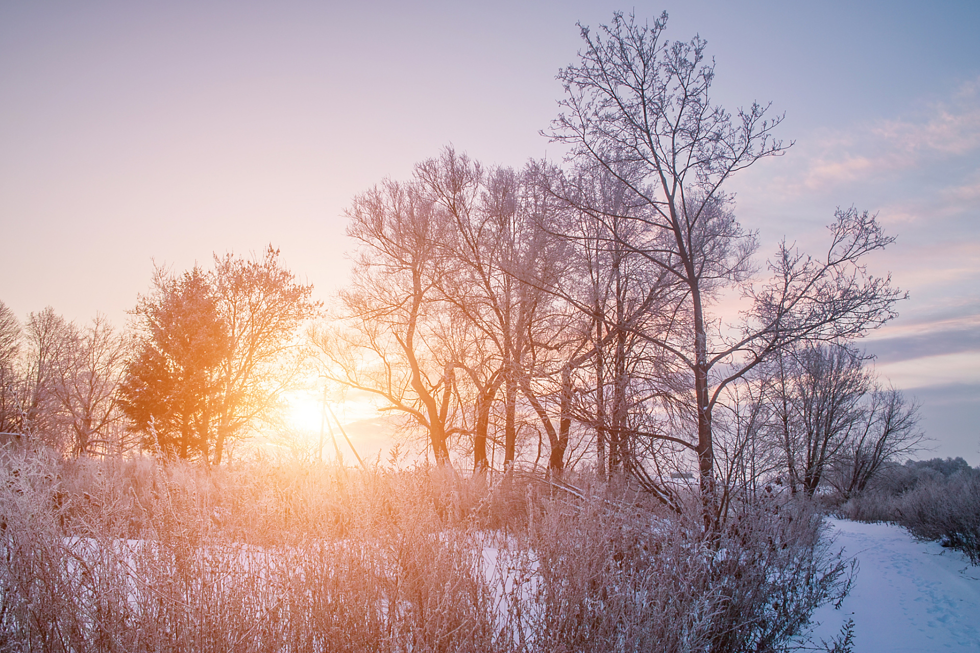 摘要:  冬日暖阳的唯美句子描绘了阳光带给人们的温暖和希望,让人们