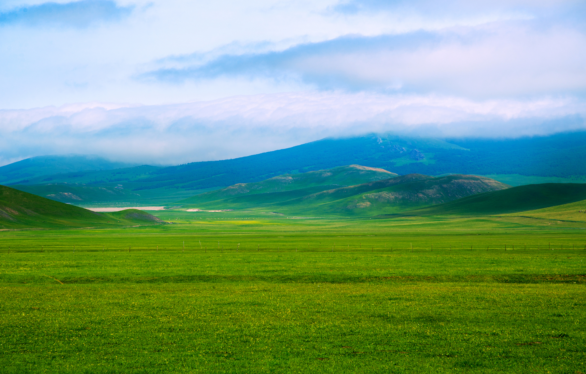 承德市丰宁满族自治县的京北第一草原景区,是一处避暑,休闲,观光,娱乐