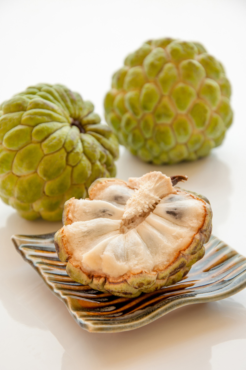 释迦果种子能种出来吗?