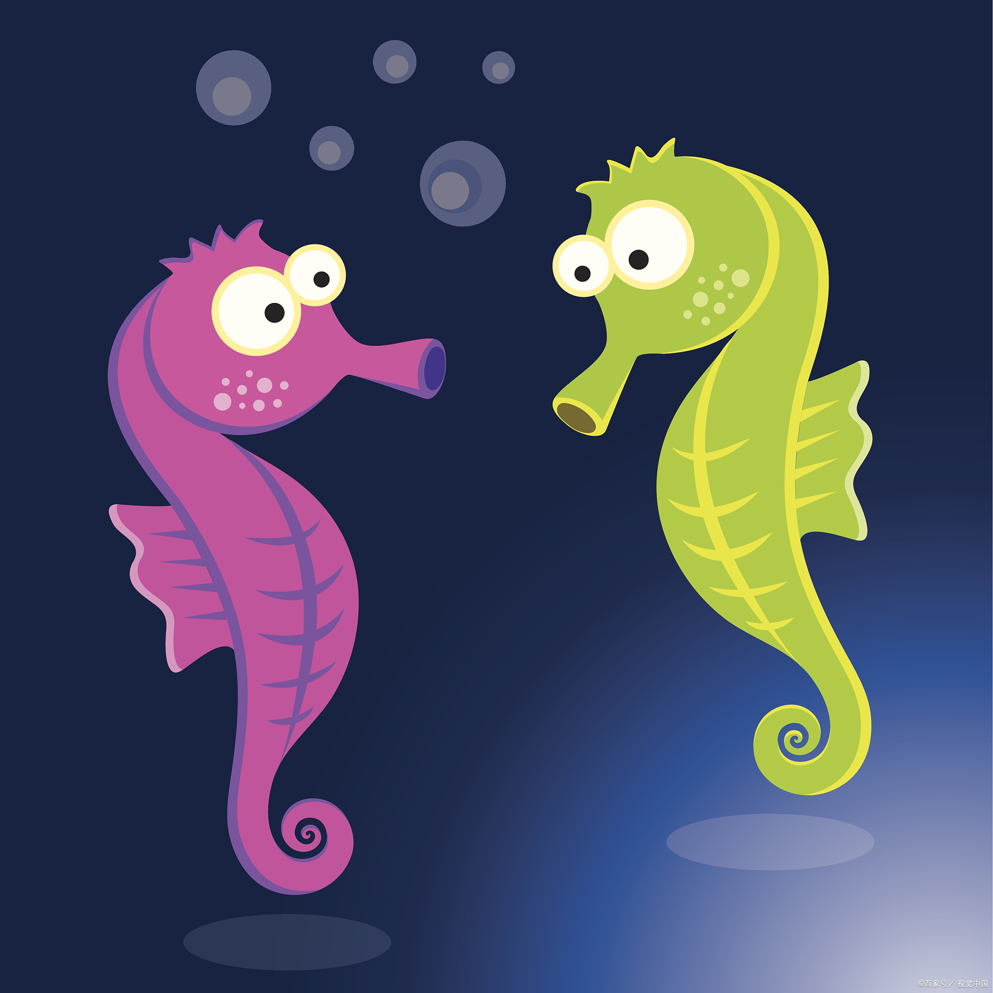 海马的保质期多久