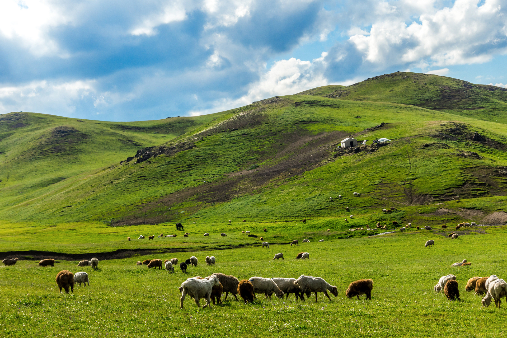 贵州阿西里西大草原是一个位于贵州省毕节市赫章县境内的草原旅游胜地