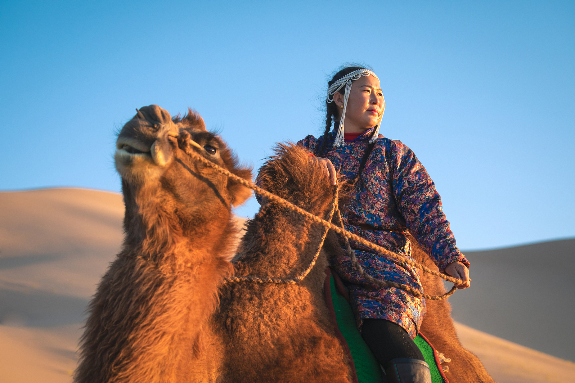 有一天,一个人在沙漠中遇到了一个骑着骆驼的牧民