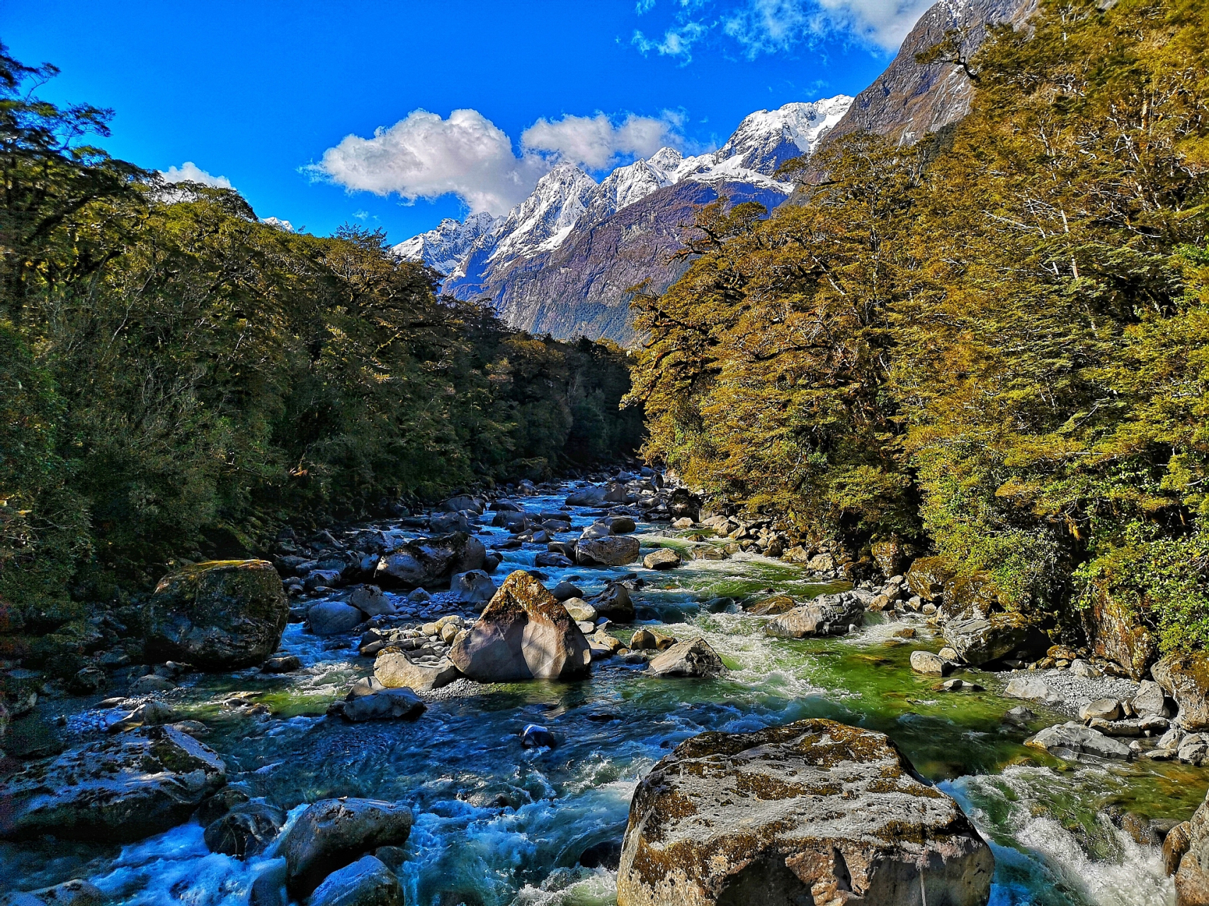 位于岷山山脉与邛崃山脉交汇处的黑水县麦扎乡境内,海拔2400米-4100米