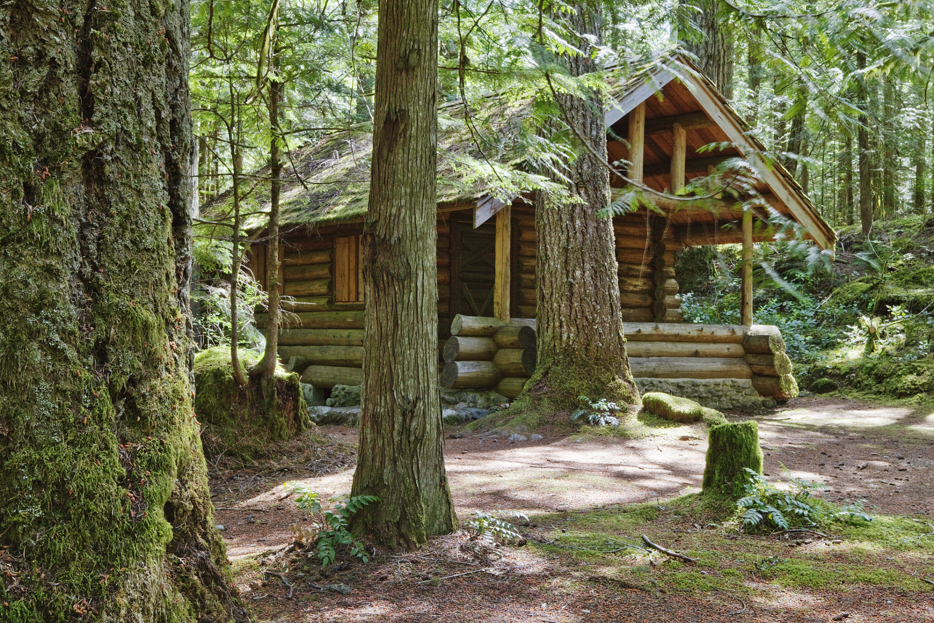 隐居山林的木屋图片