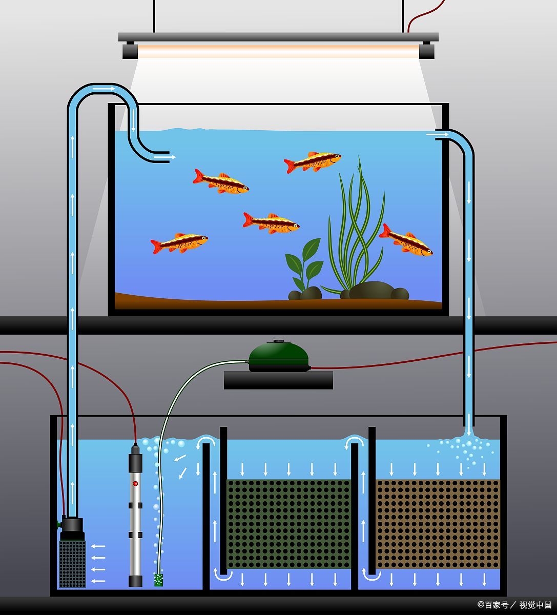 鱼缸水循环示意图图片