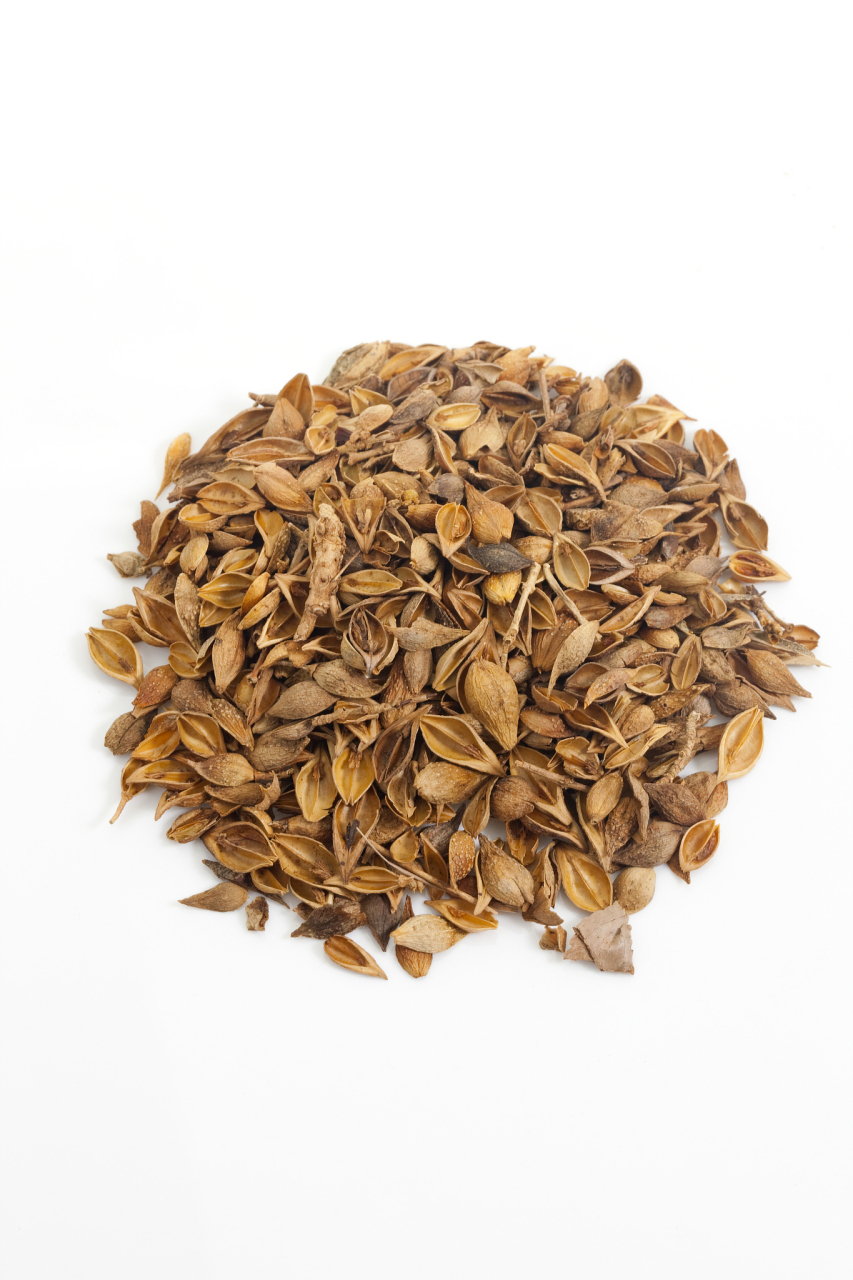 中药金樱子与芡实配伍,治疗小便遗泄,尿频量多功效解析【仅供参考】