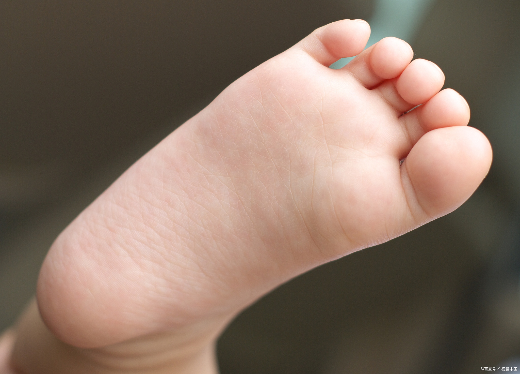 小孩脚心小孩的脚小孩脚掌小孩脚掌照片小孩子健康的足底图片宝宝脚心