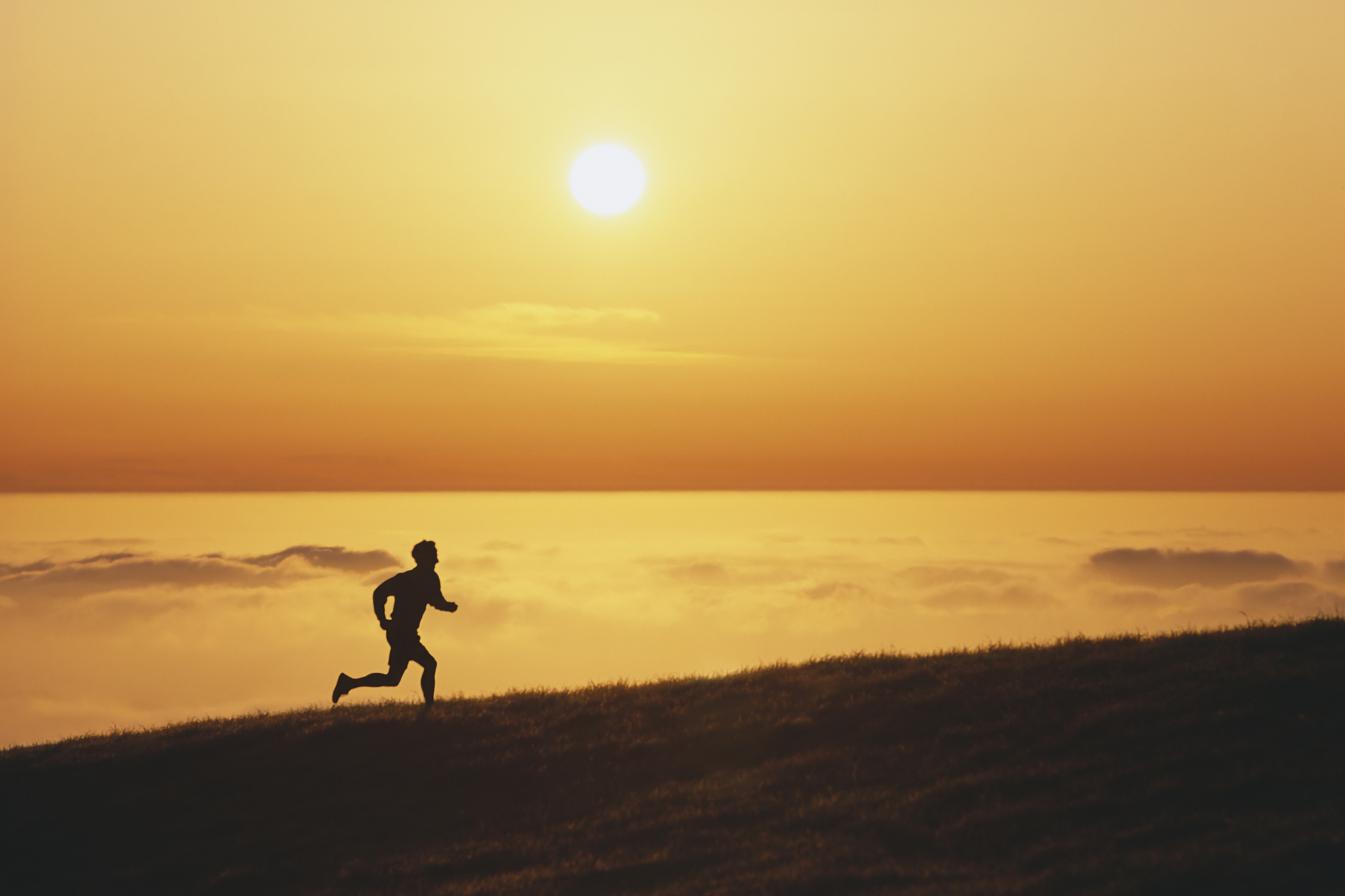 不是因为风和日丽才选择了远方,而是矢志前行才踏平了坎坷