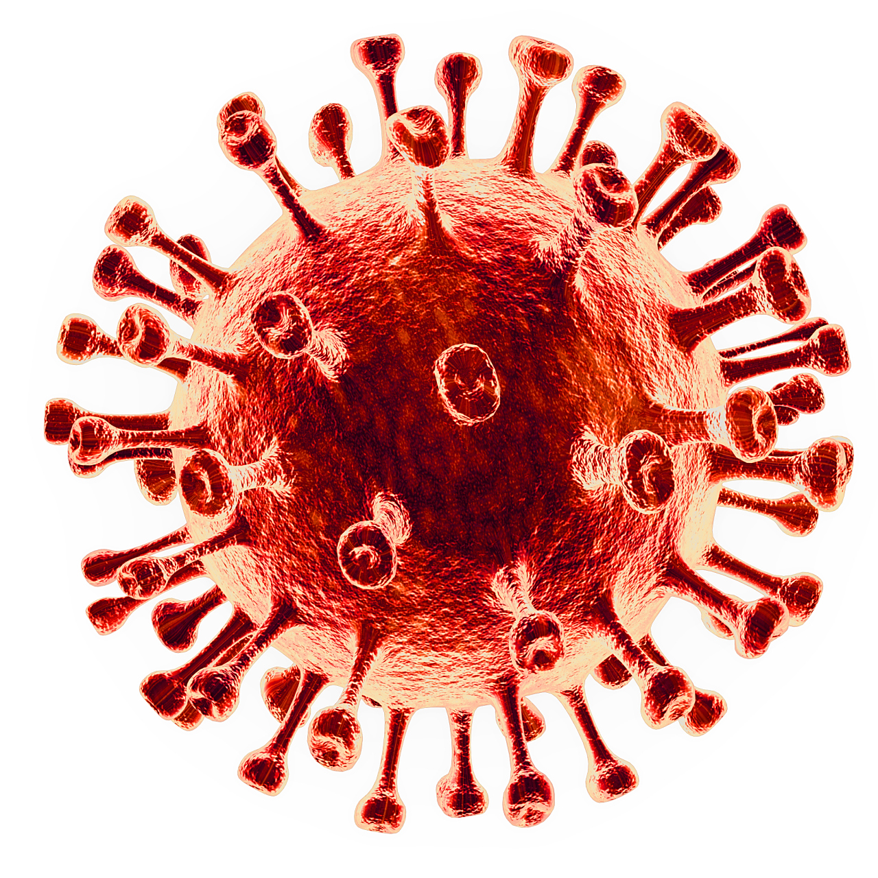 河北石家庄市疫情防控总指挥部办公室发布,8月17日
