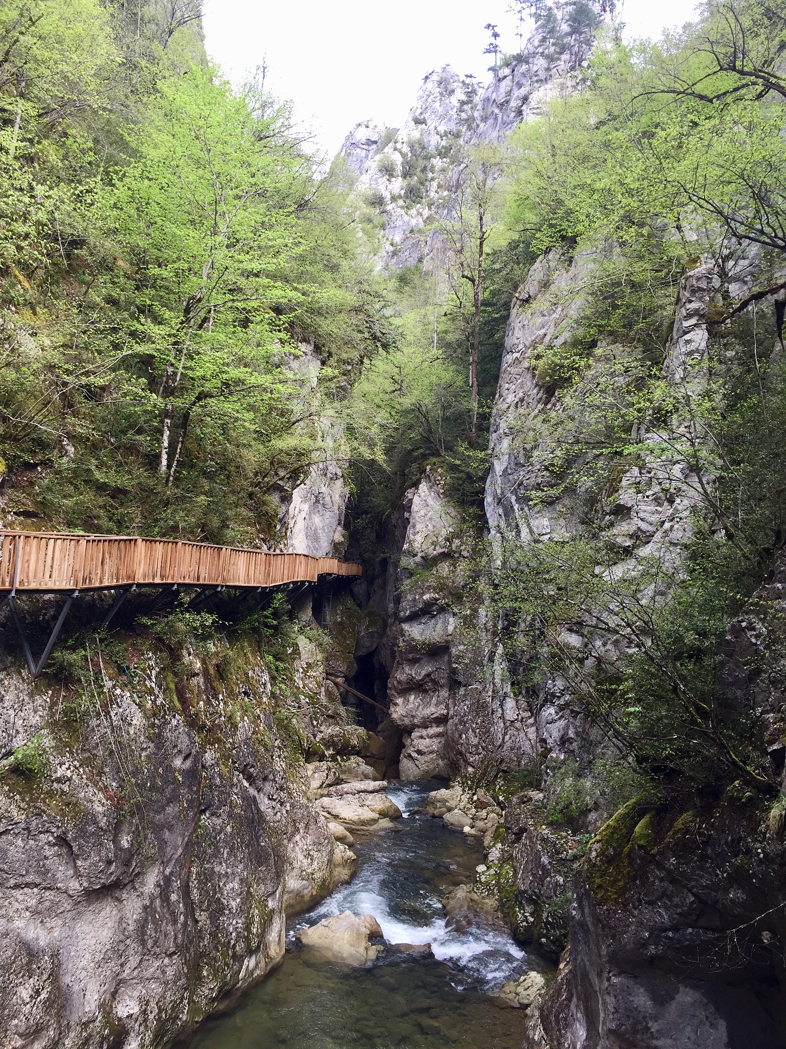 祥龙谷景区位于河南省平顶山舞钢市南部,属伏牛山余脉,是国家森林公园