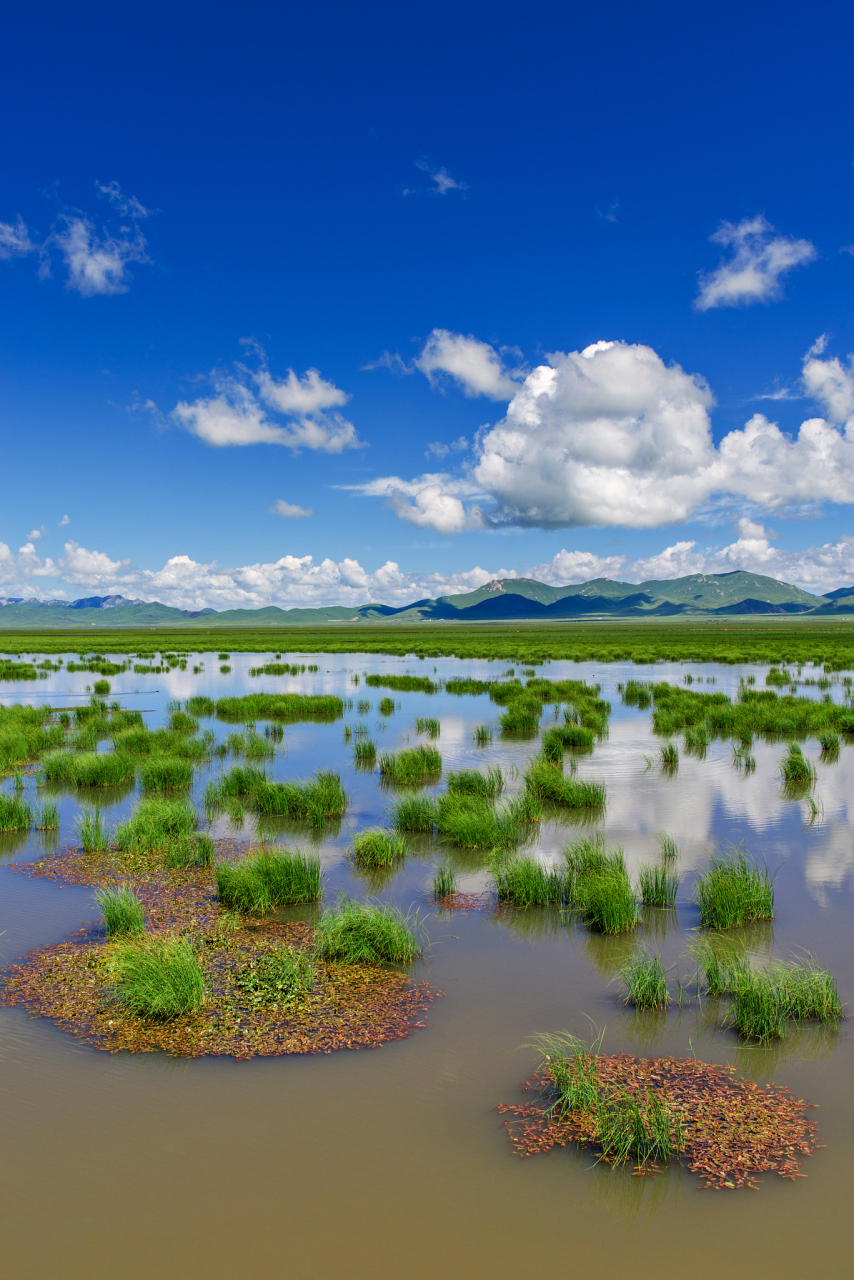 花湖位于若尔盖和甘肃郎木寺之间的213国道旁.