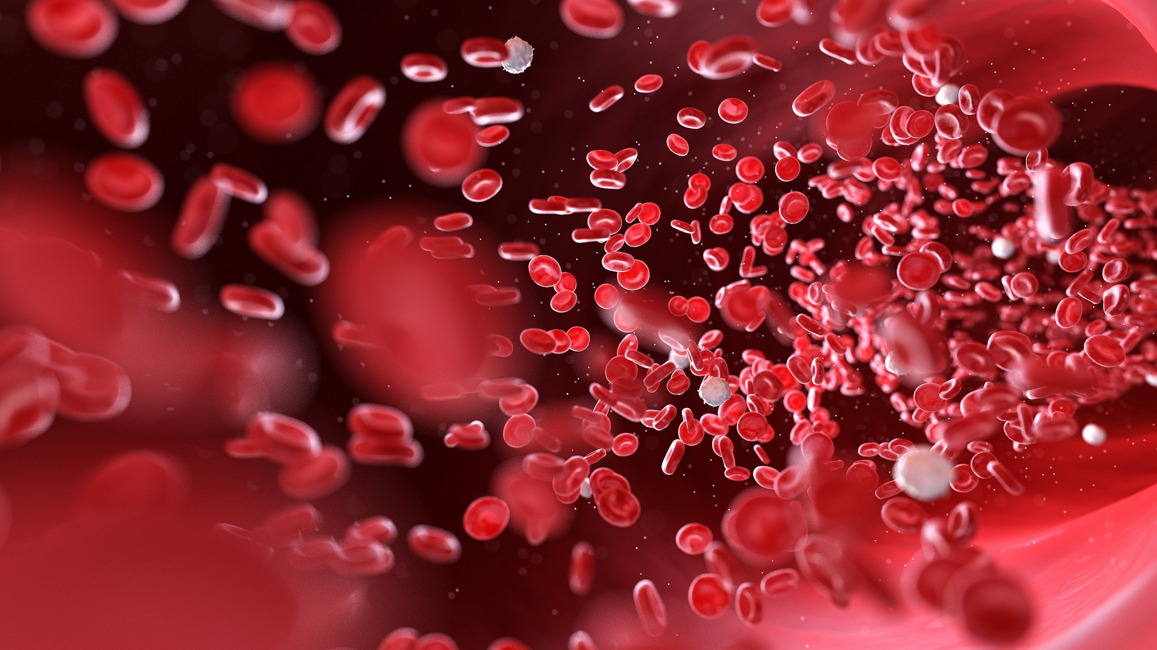 血小板减少不一定就是白血病,单纯的血小板减少也是血液病的一种,但是